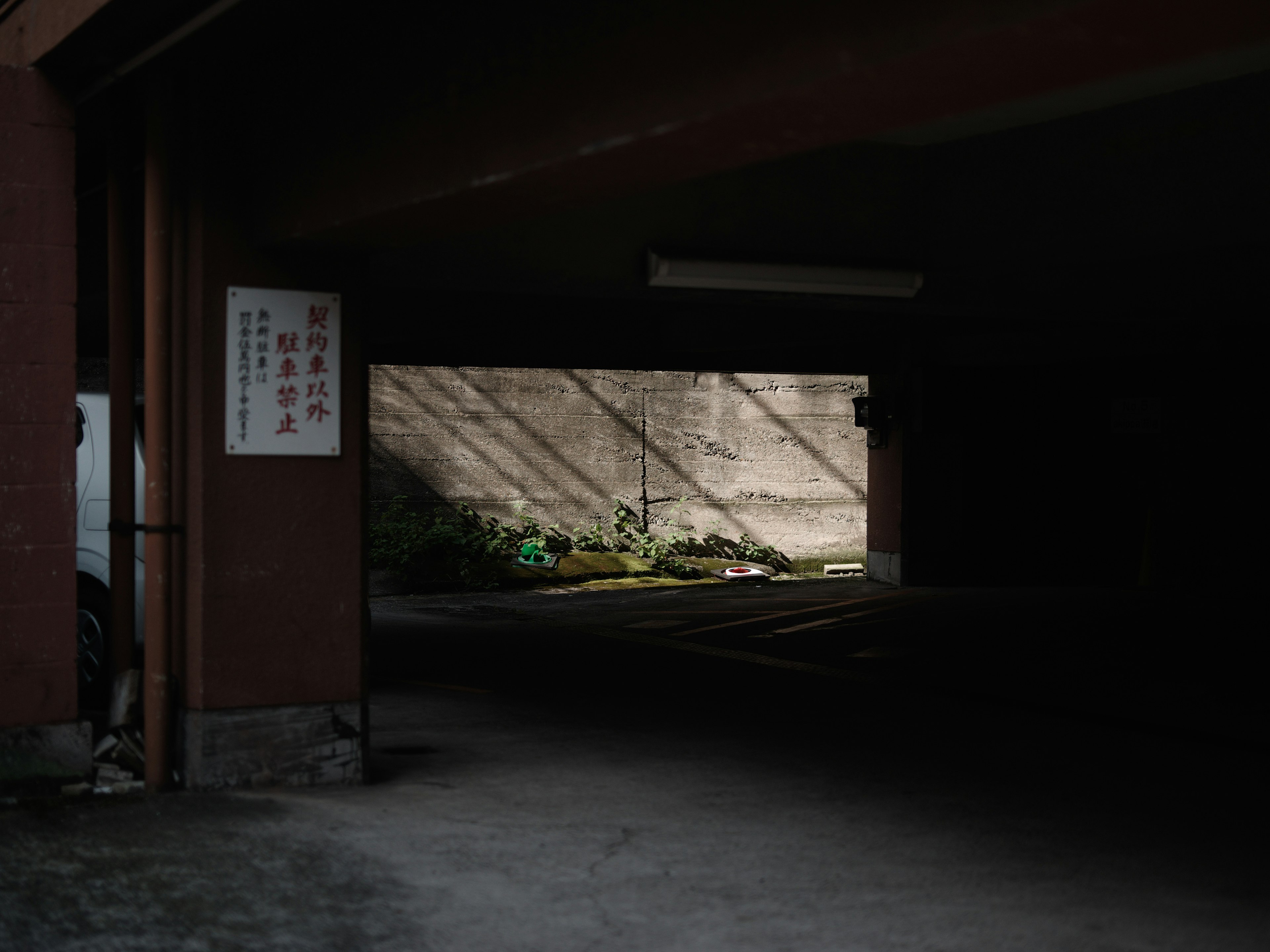 Dark parking garage with light wall and shadows of plants