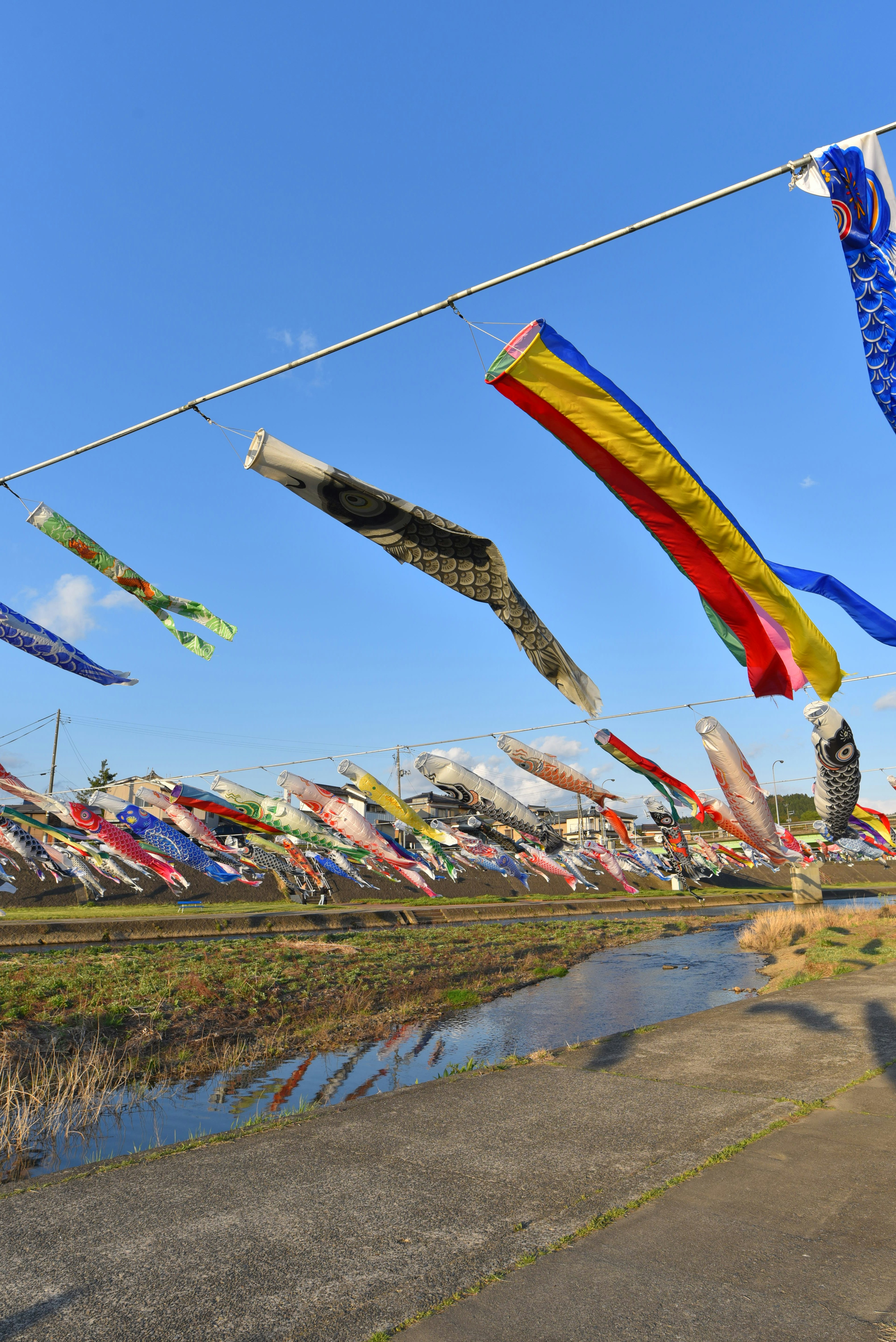 Bunte Fahnen wehen im Wind unter einem blauen Himmel