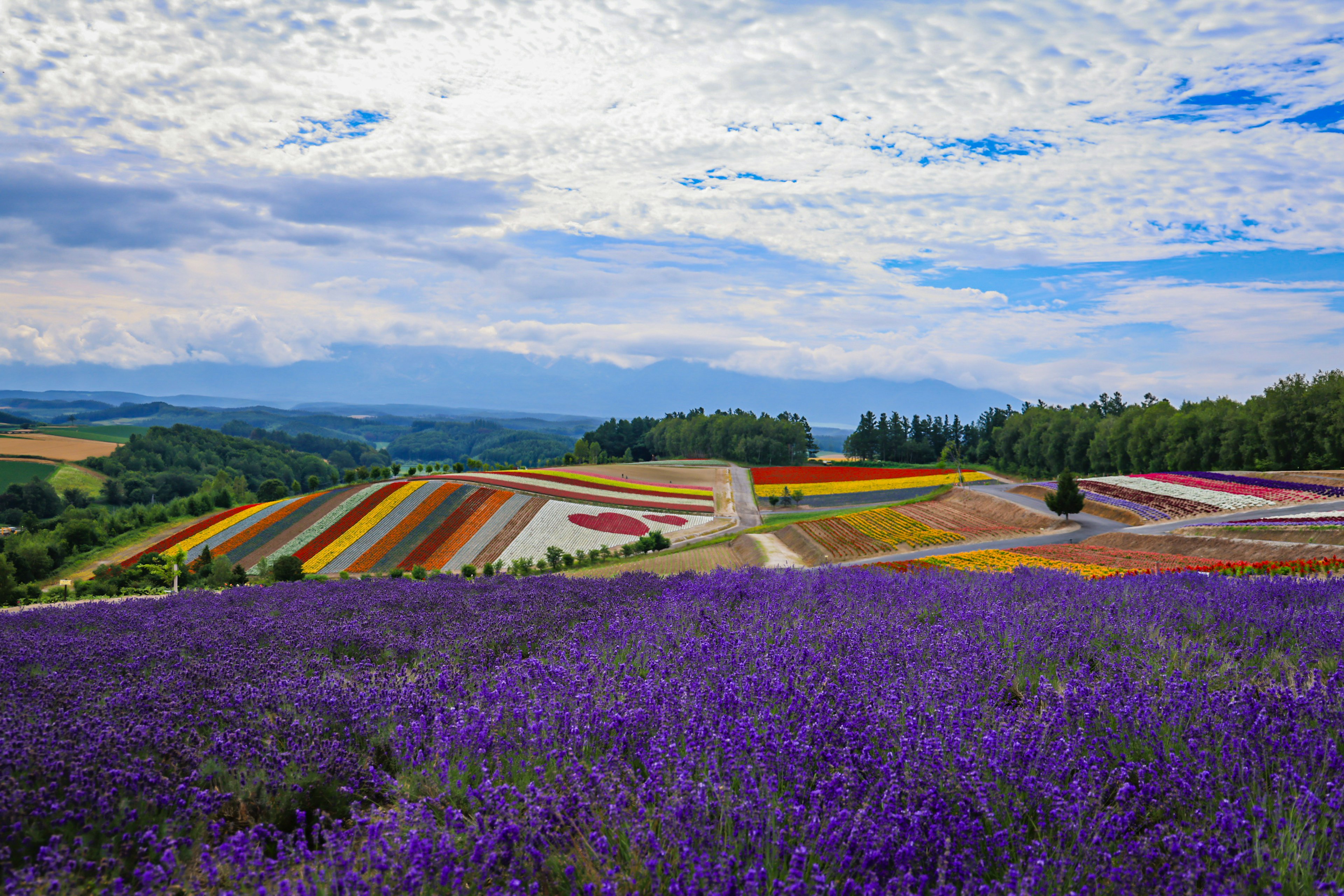 Wunderschöne Landschaft mit lila Lavendelfeldern und bunten Blumenbeeten