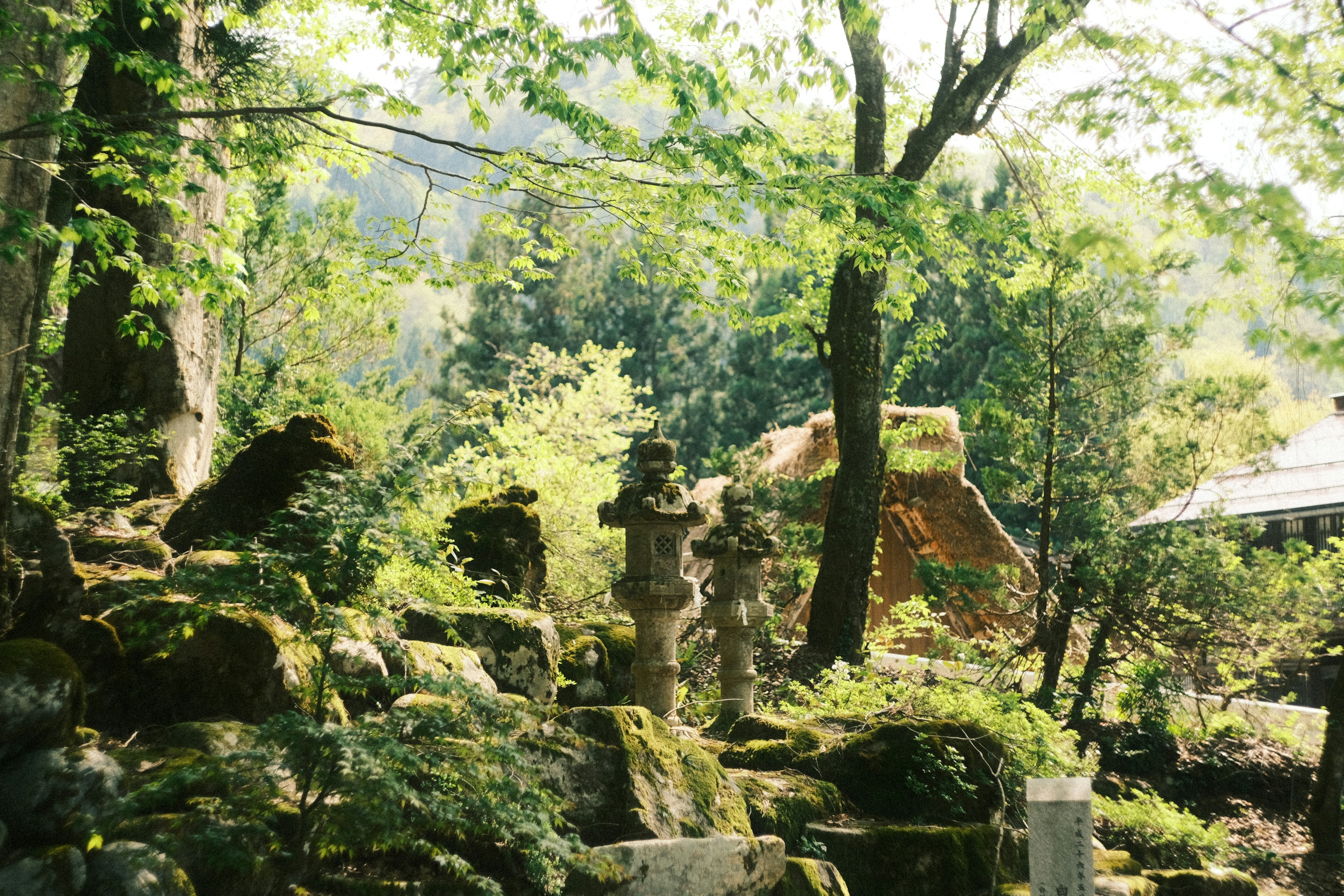 緑豊かな庭の中にある石像と岩の風景