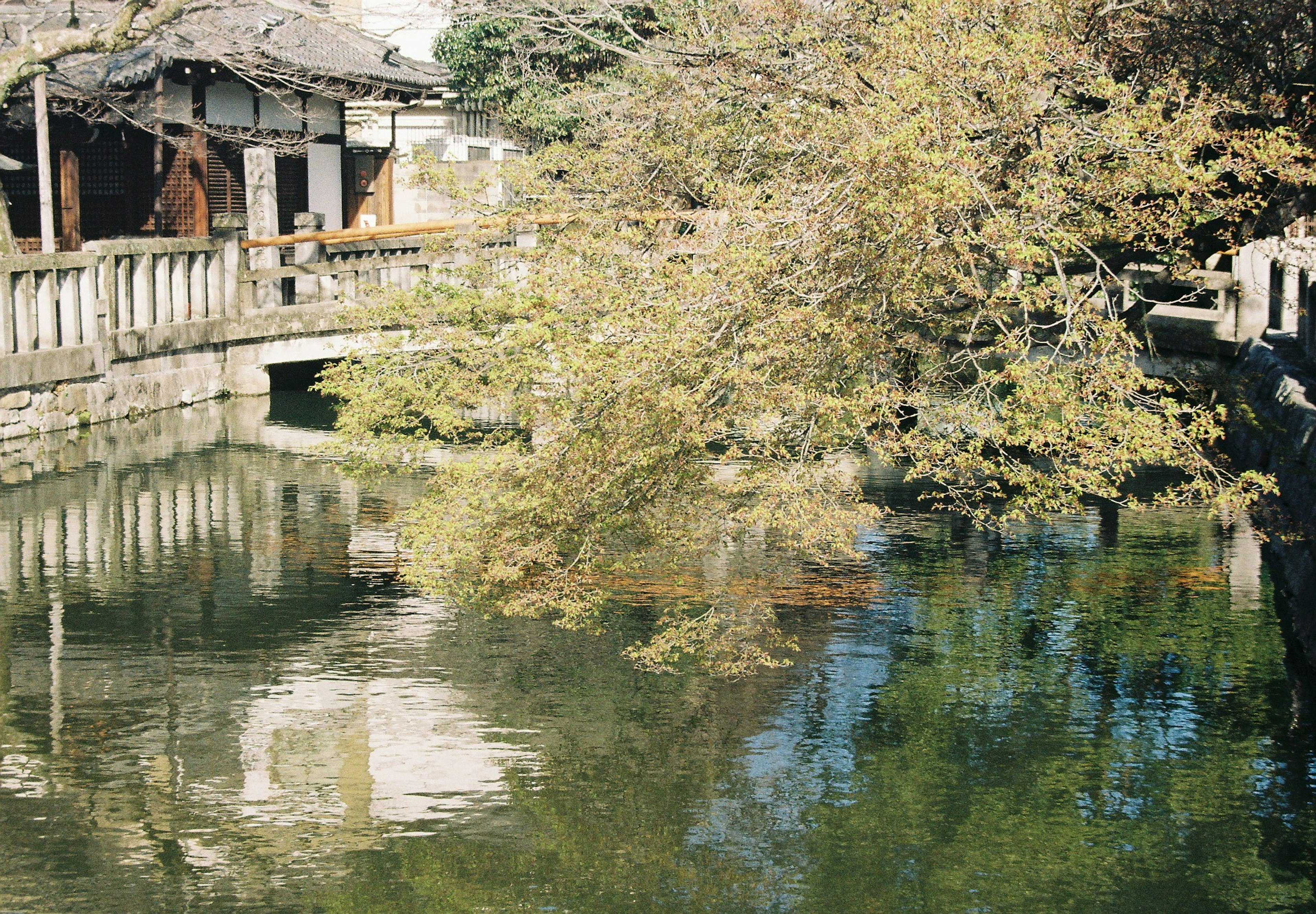 ทิวทัศน์ที่สวยงามของสะพานเก่าและต้นไม้ที่สะท้อนอยู่ในน้ำสงบ