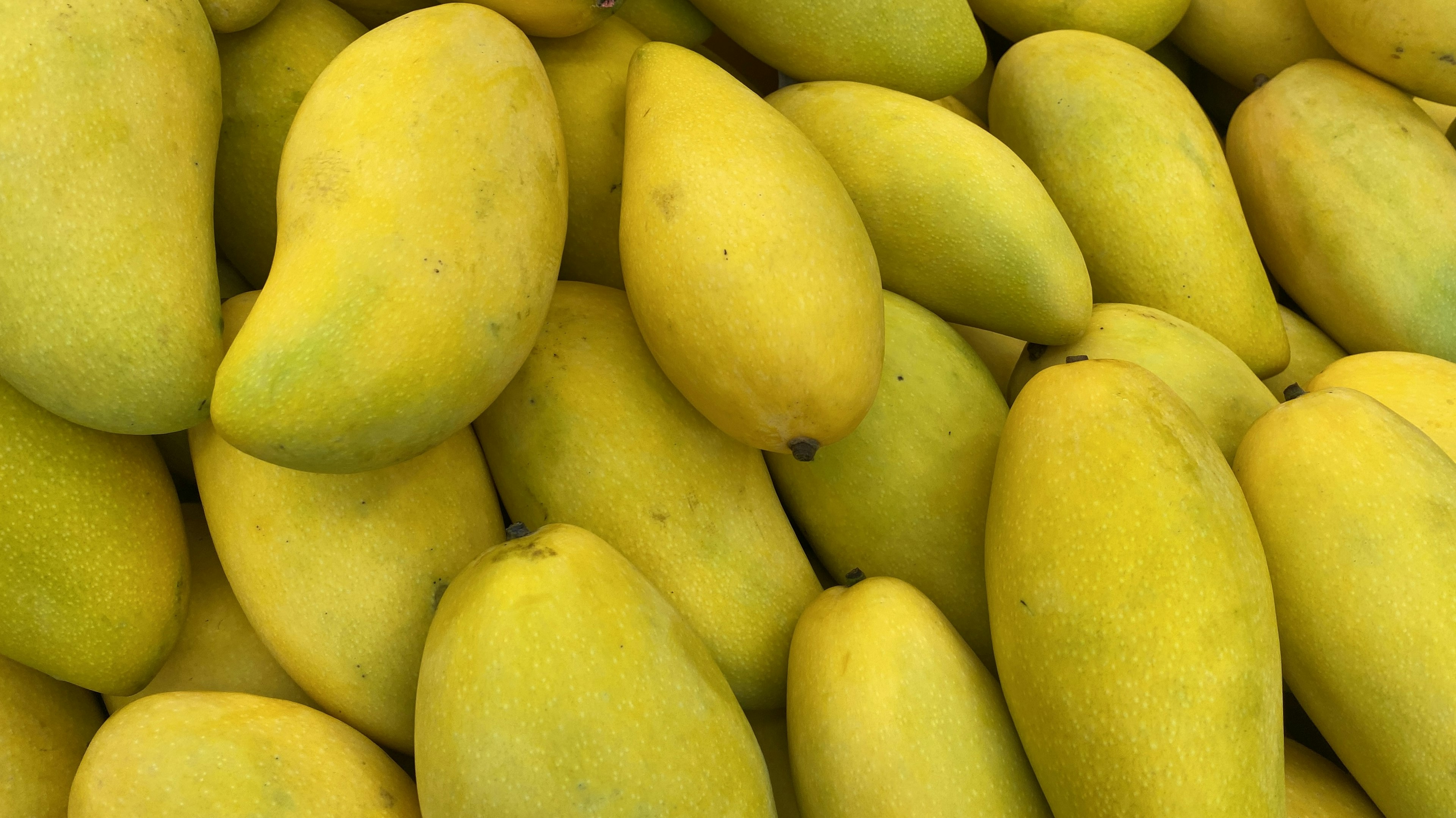 Un montón de mangos amarillos maduros apilados