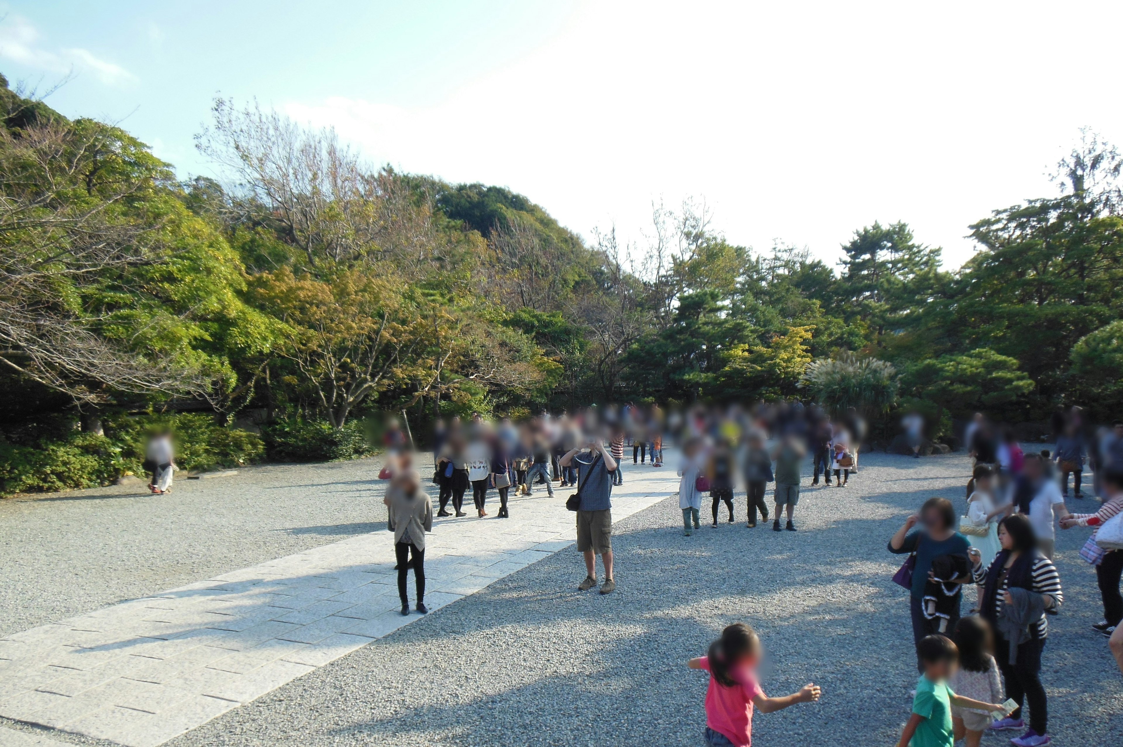 一群人在公園裡進行活動，周圍是郁郁蔥蔥的綠樹和開闊的天空