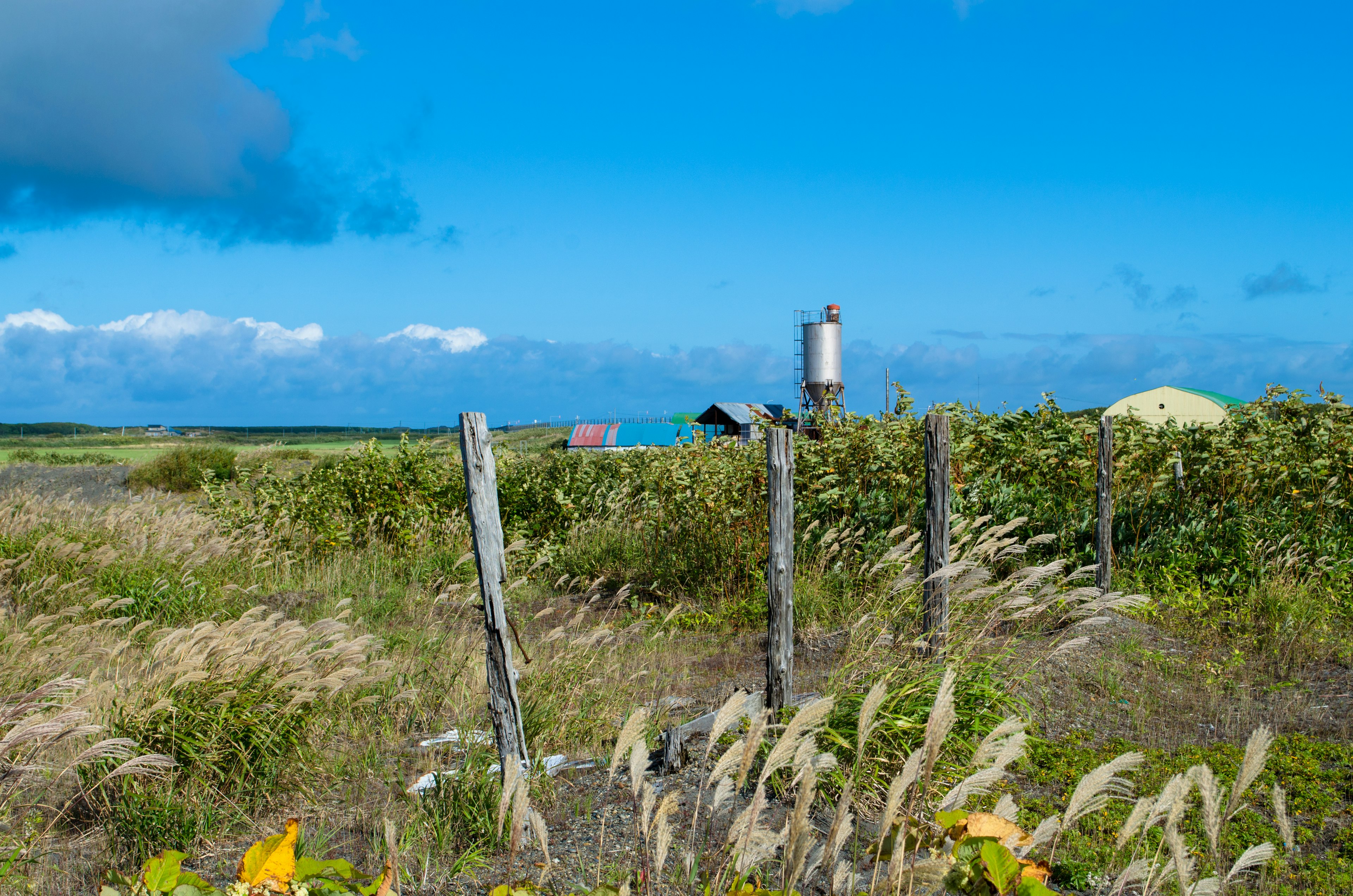 Scenic landscape under blue sky featuring grassland and fence with mountains and shed in the distance