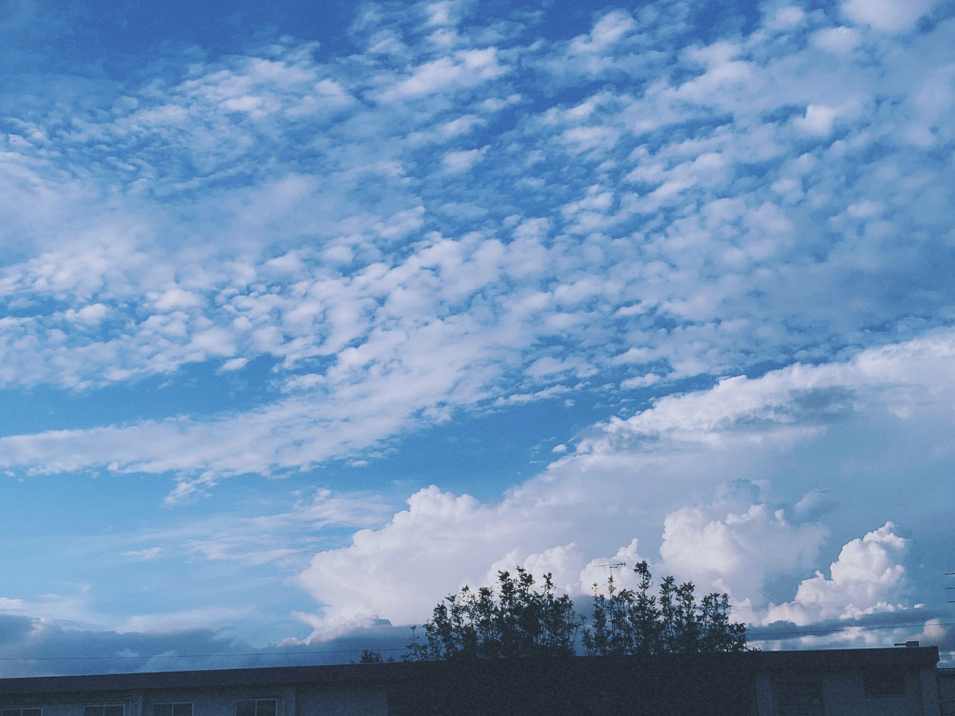 青空と白い雲が広がる風景