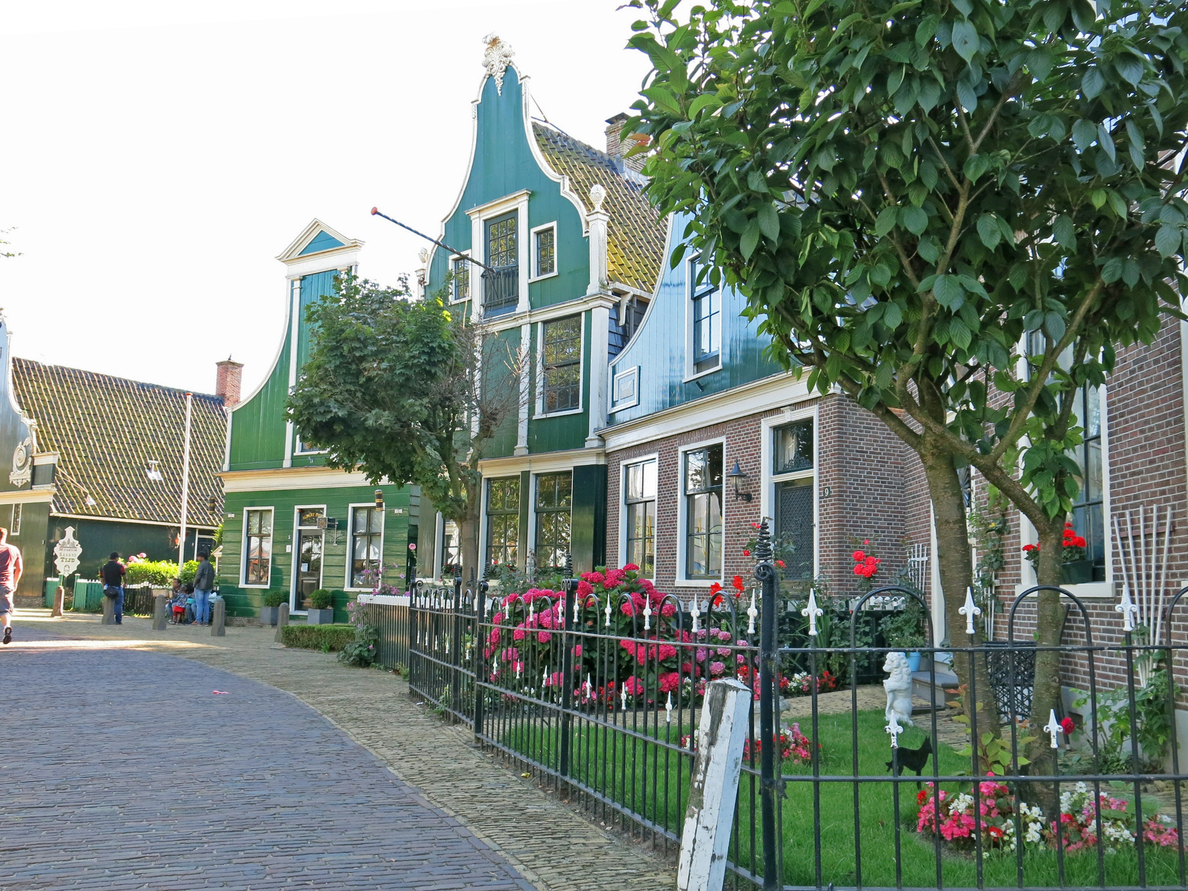 Vista escénica de casas tradicionales holandesas con techos verdes y jardines de flores