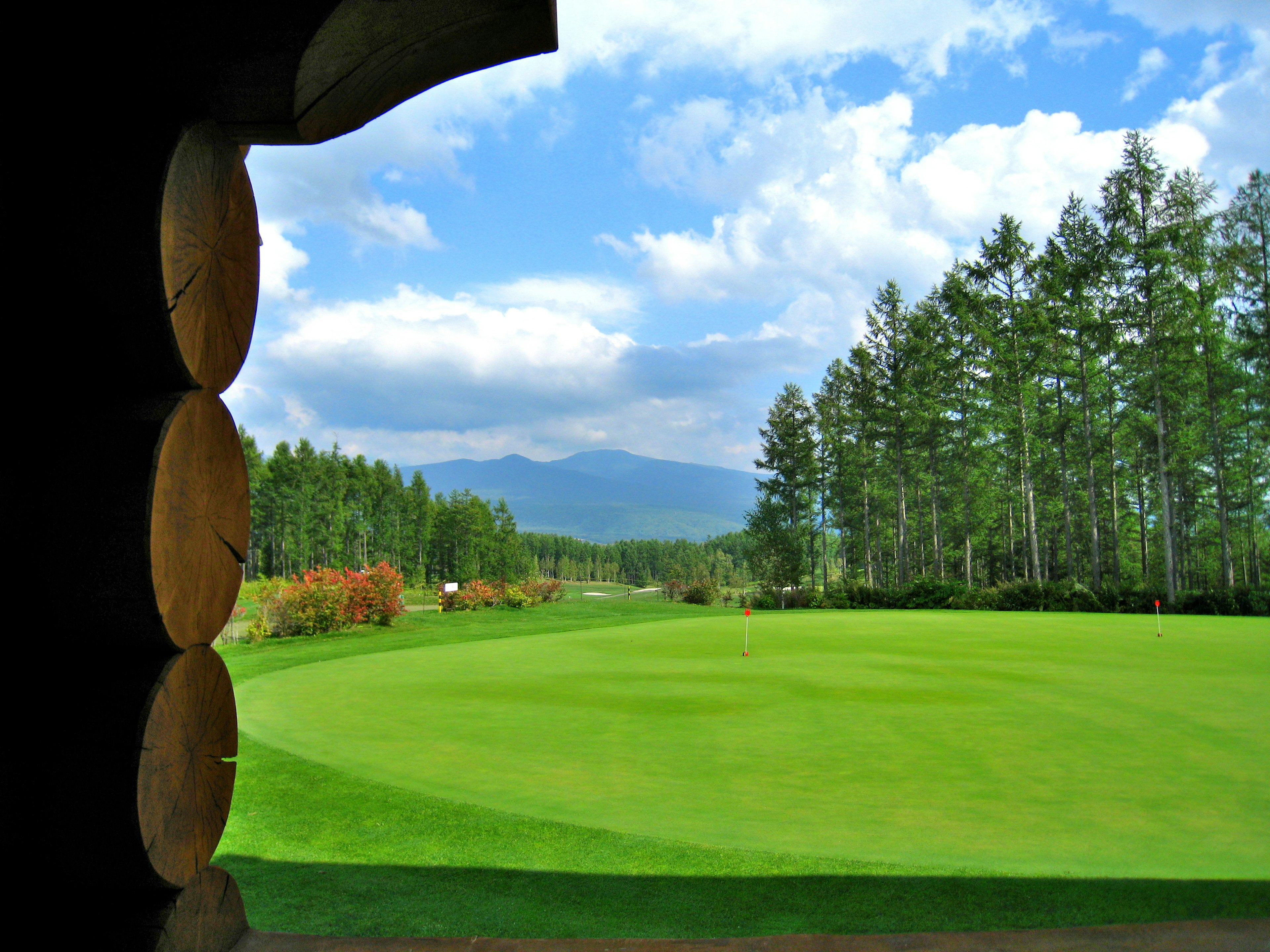 Lush green lawn and blue sky view through a wooden frame