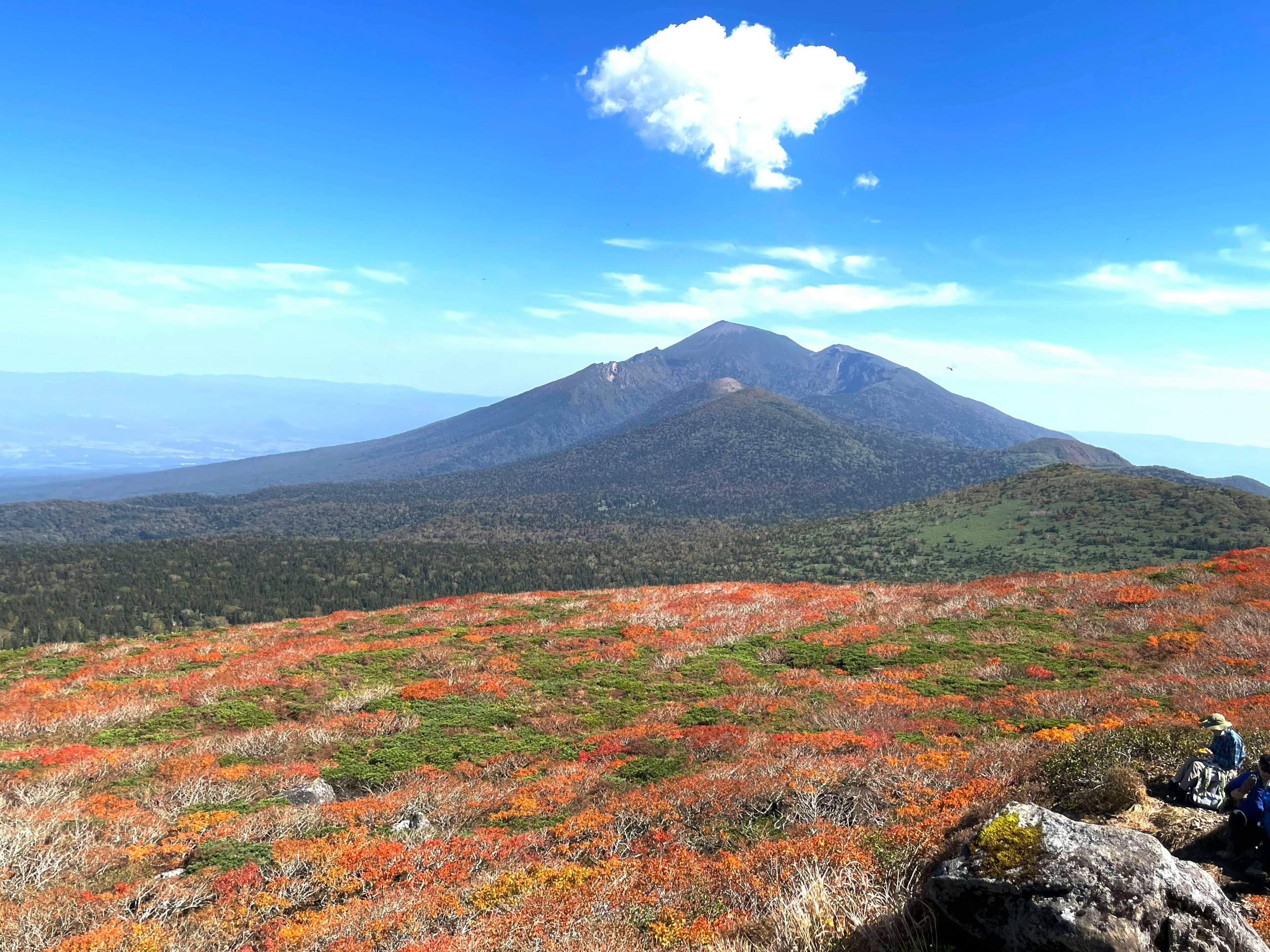 美しい風景の中での山の景色と色とりどりの草原