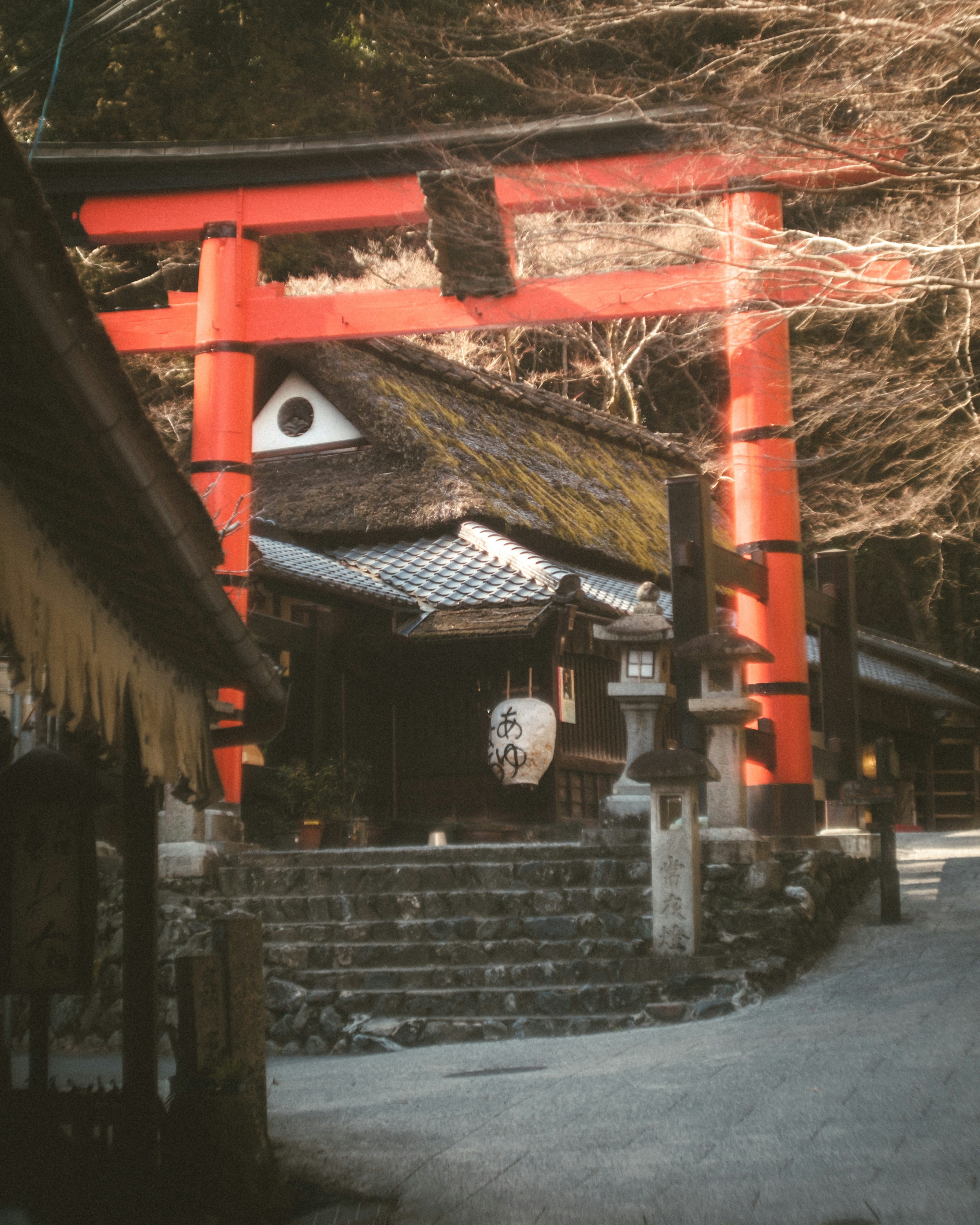 Vue pittoresque d'un sanctuaire avec un torii rouge et une architecture traditionnelle