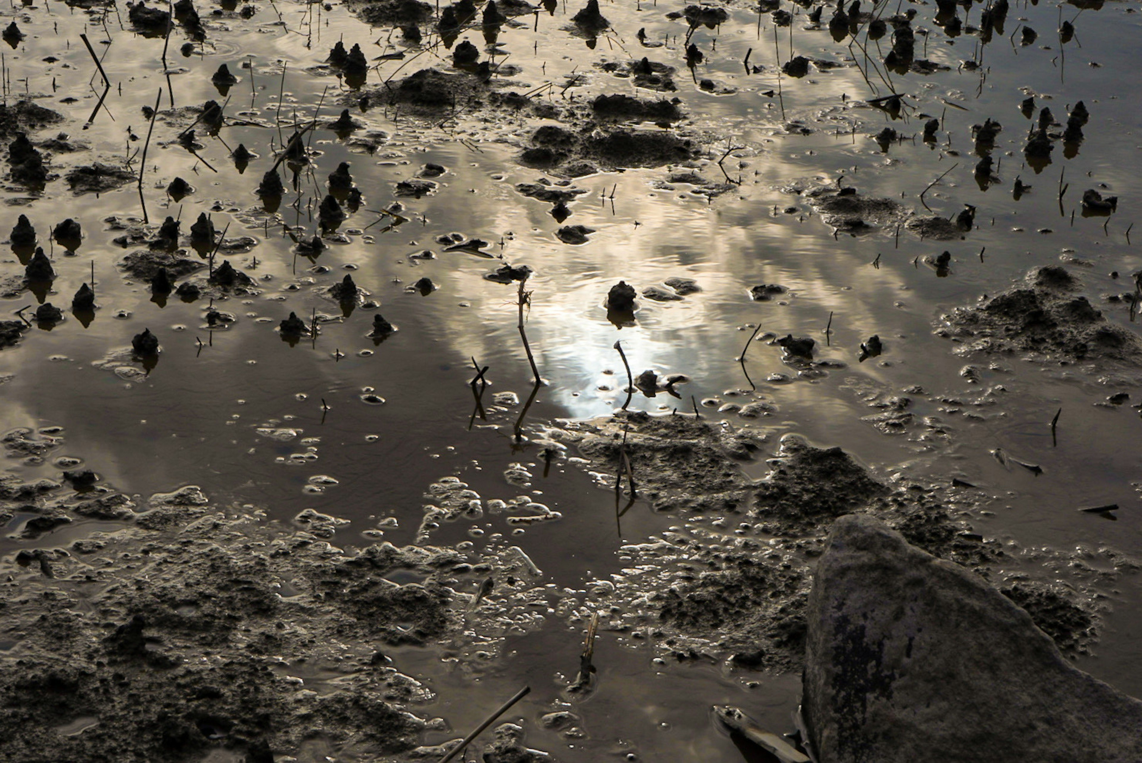 Paysage boueux reflétant des nuages et la lumière du soleil à la surface de l'eau