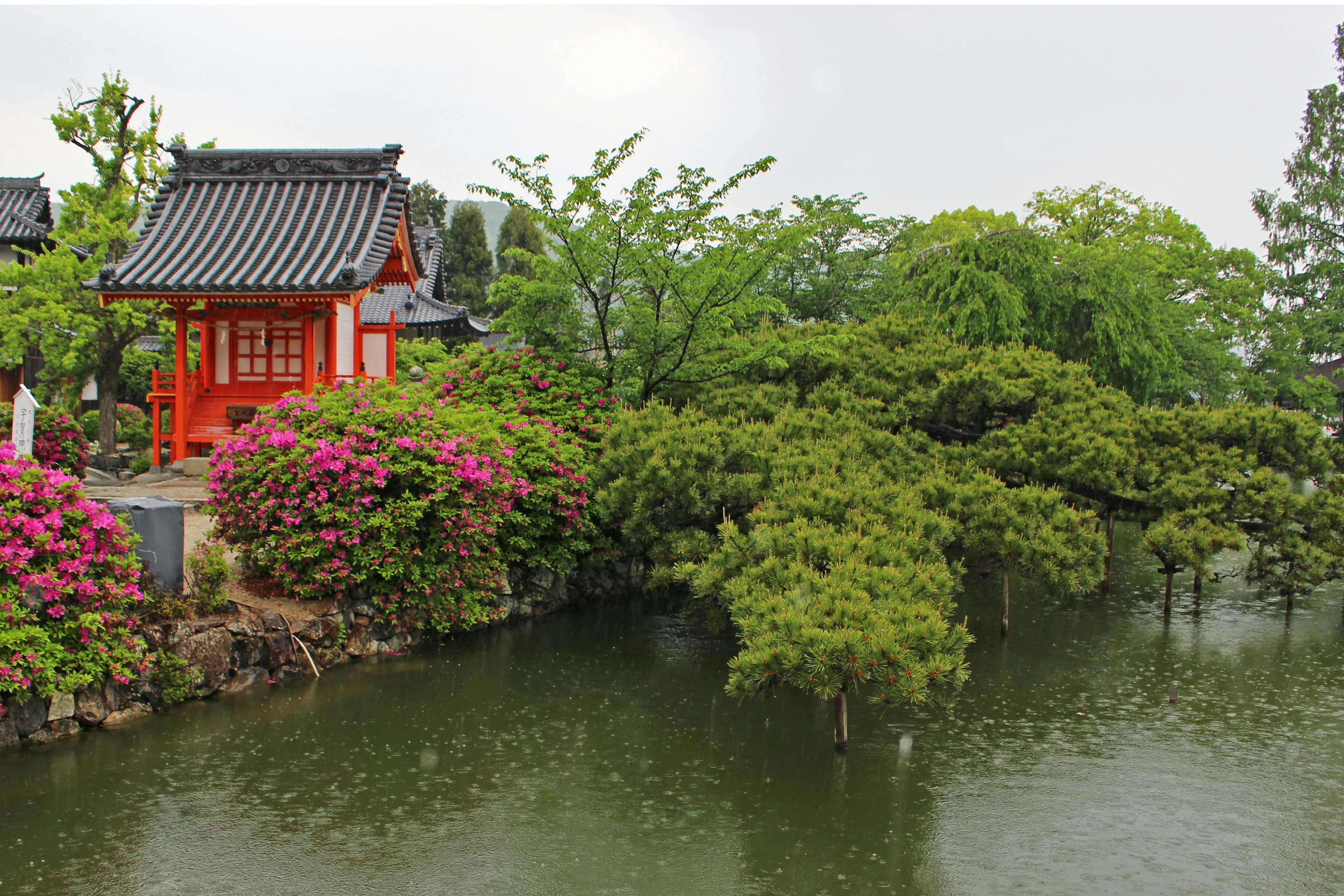 Beautiful Japanese garden featuring a red structure and lush greenery reflecting in the pond