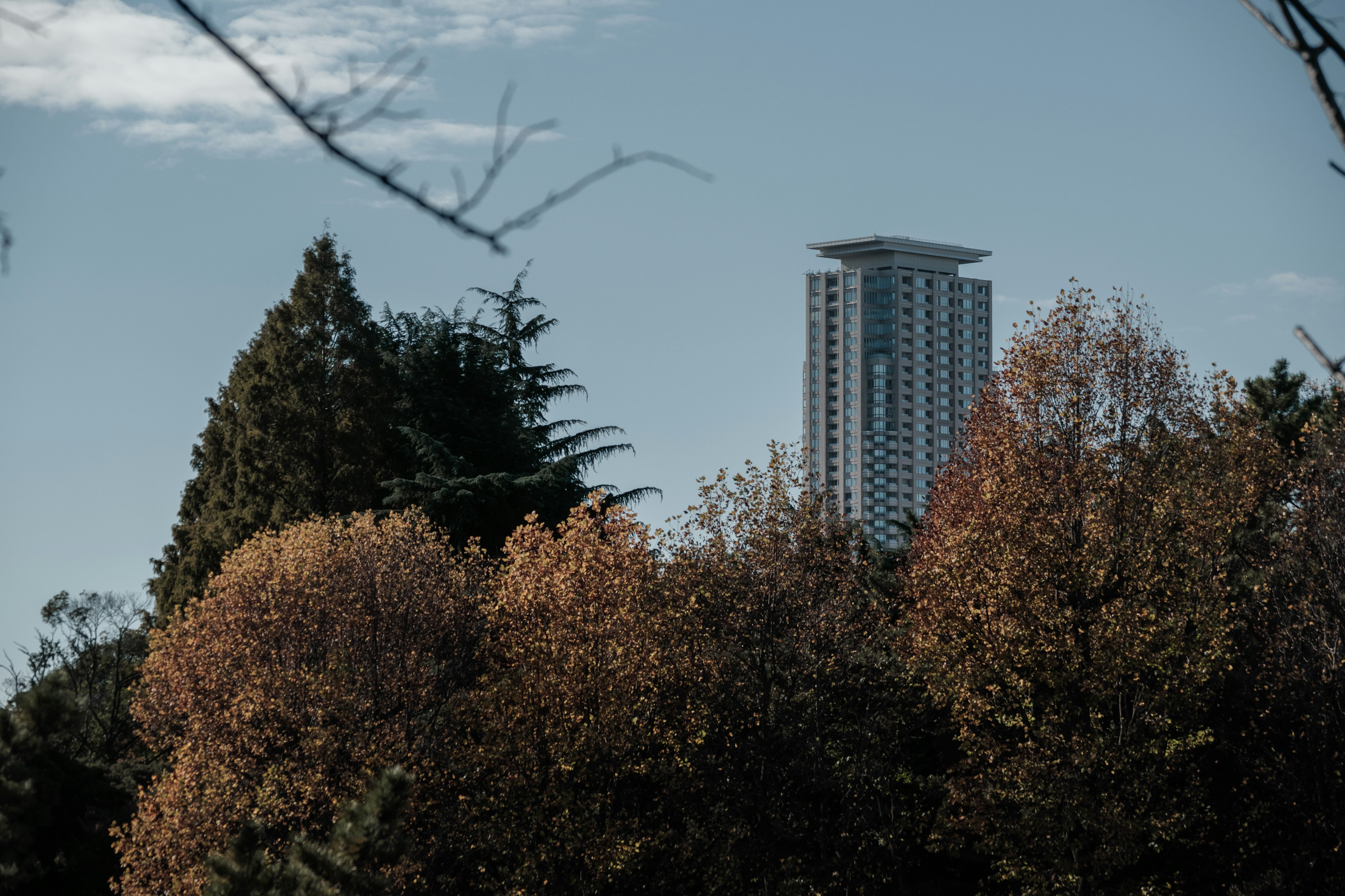 Eine Skyline mit einem Hochhaus zwischen herbstlichem Laub