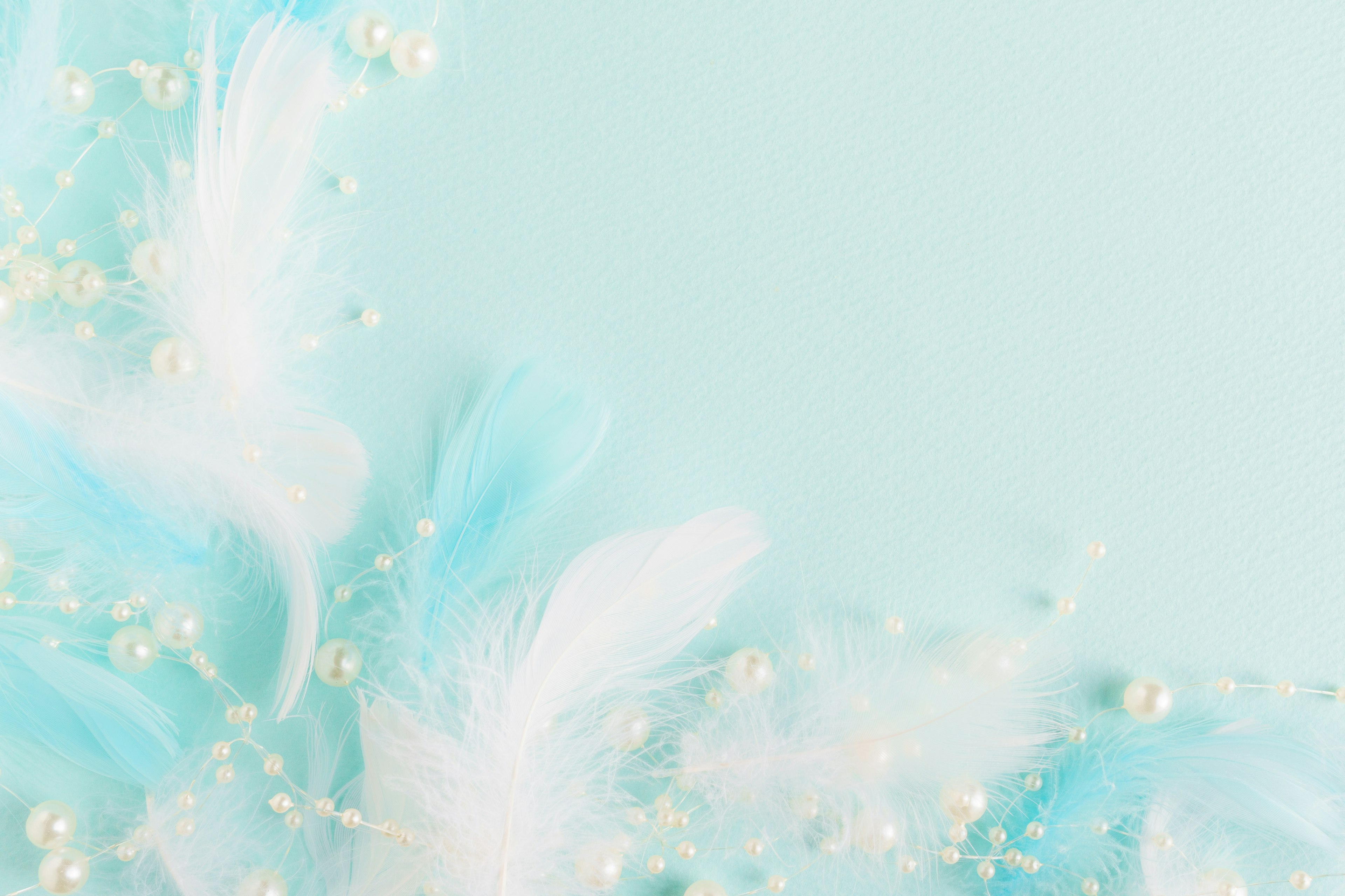 Light blue background featuring white feathers and pearls scattered