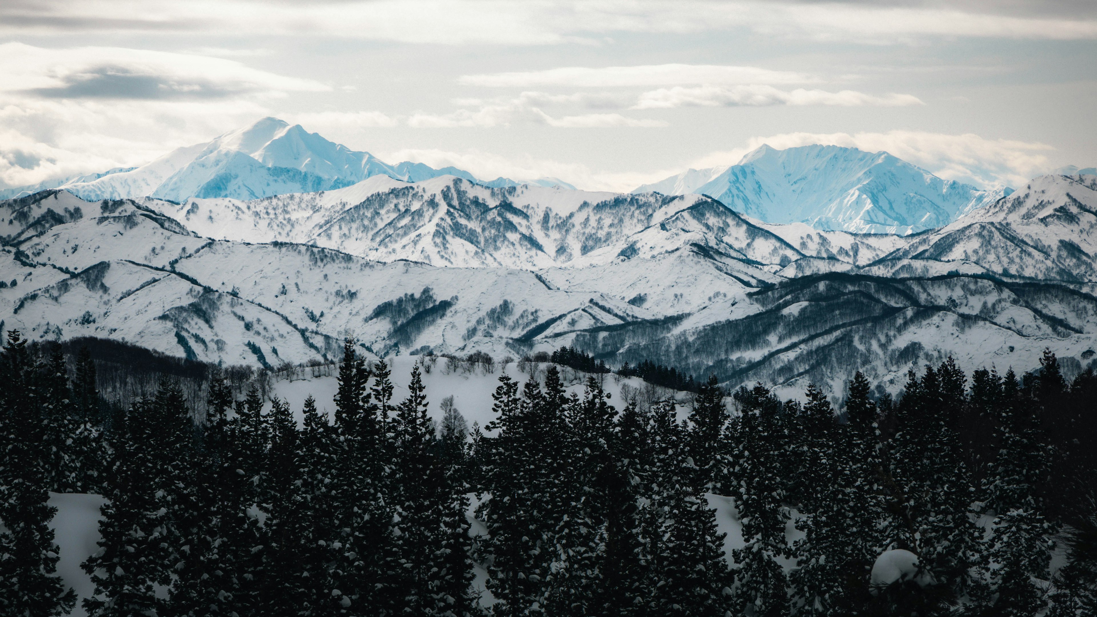 Snow-covered mountain range with evergreen forest