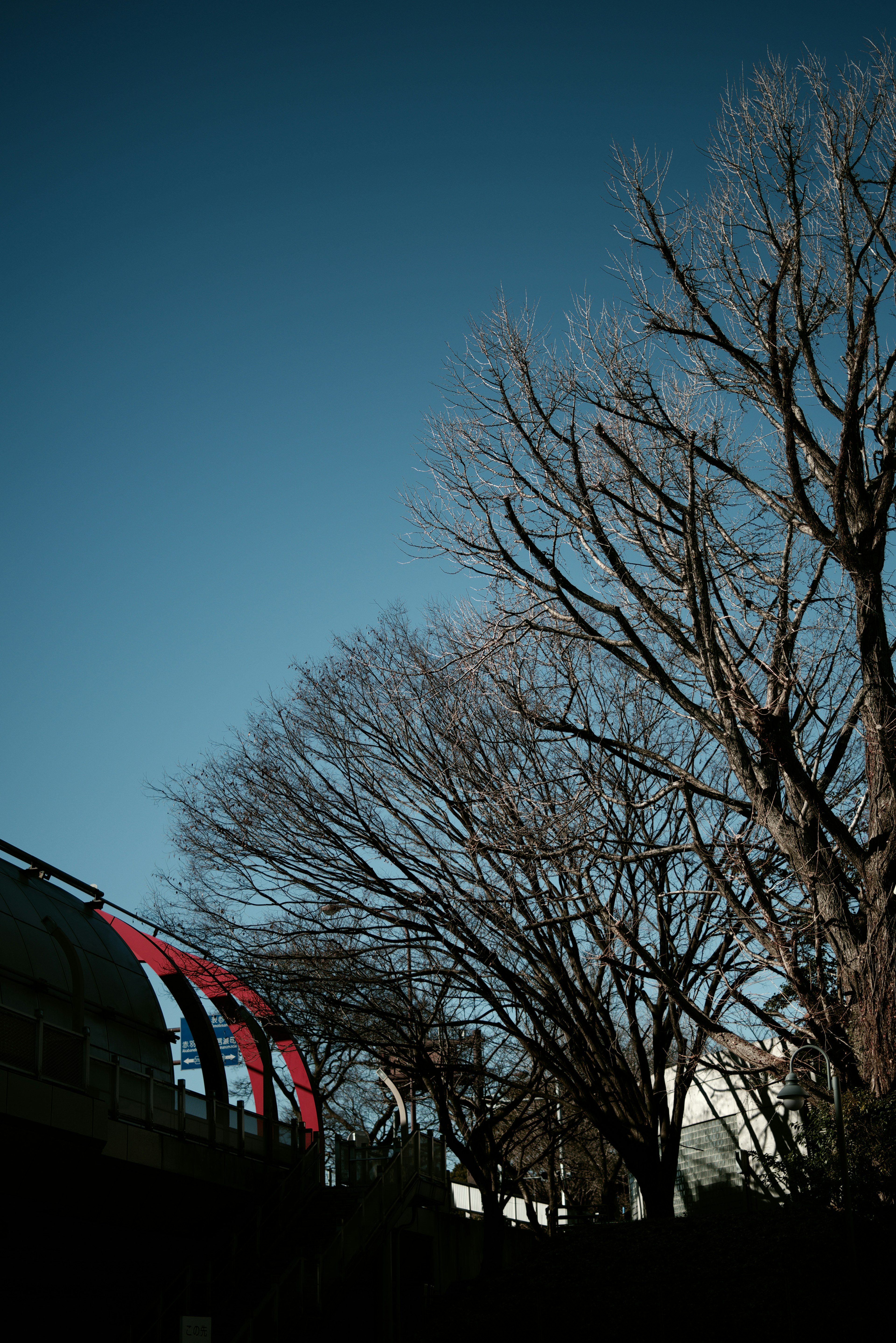 Arbres d'hiver sous un ciel bleu avec une partie d'un train rouge