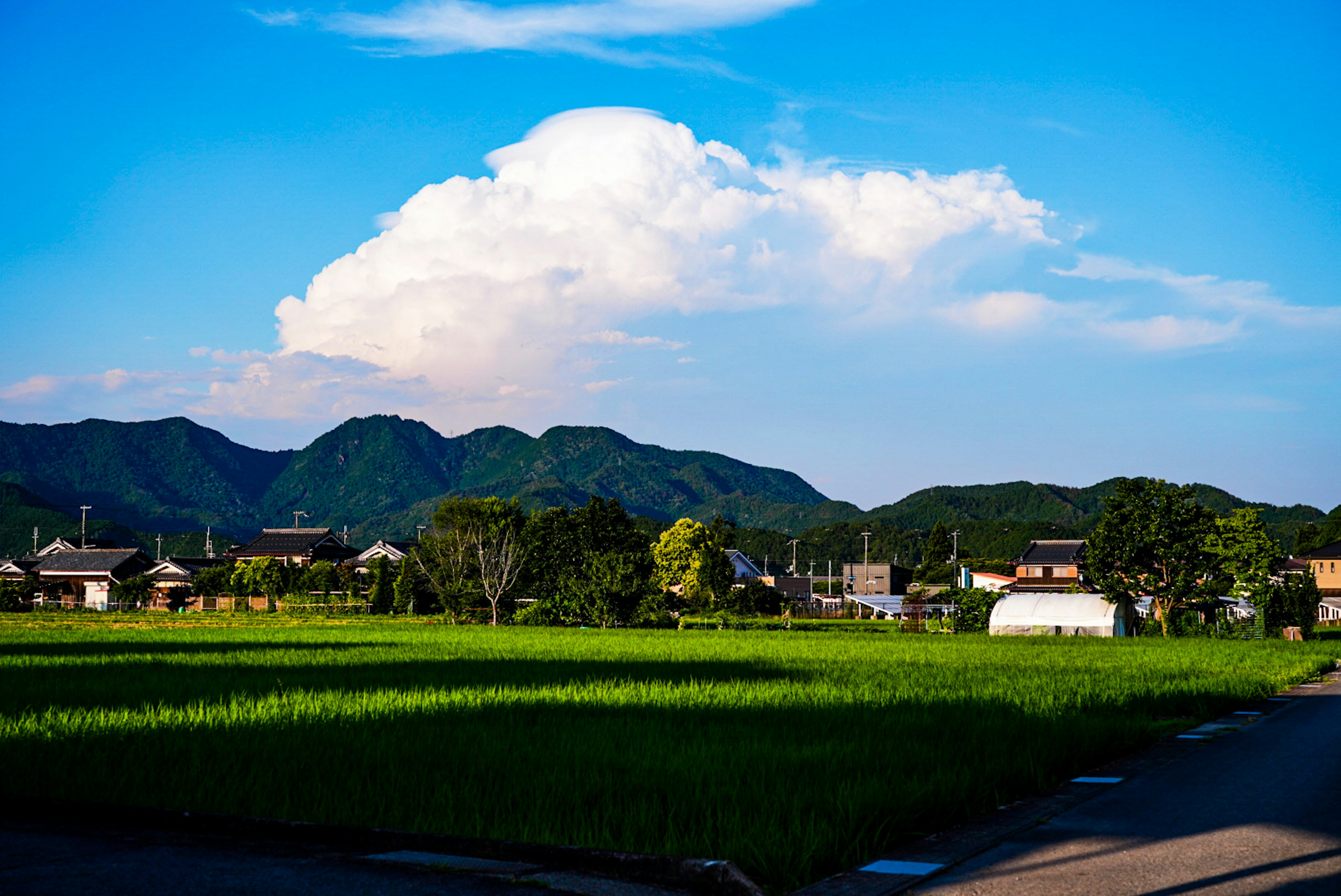 青空と白い雲が広がる田園風景の写真 緑の稲と山々が背景にある