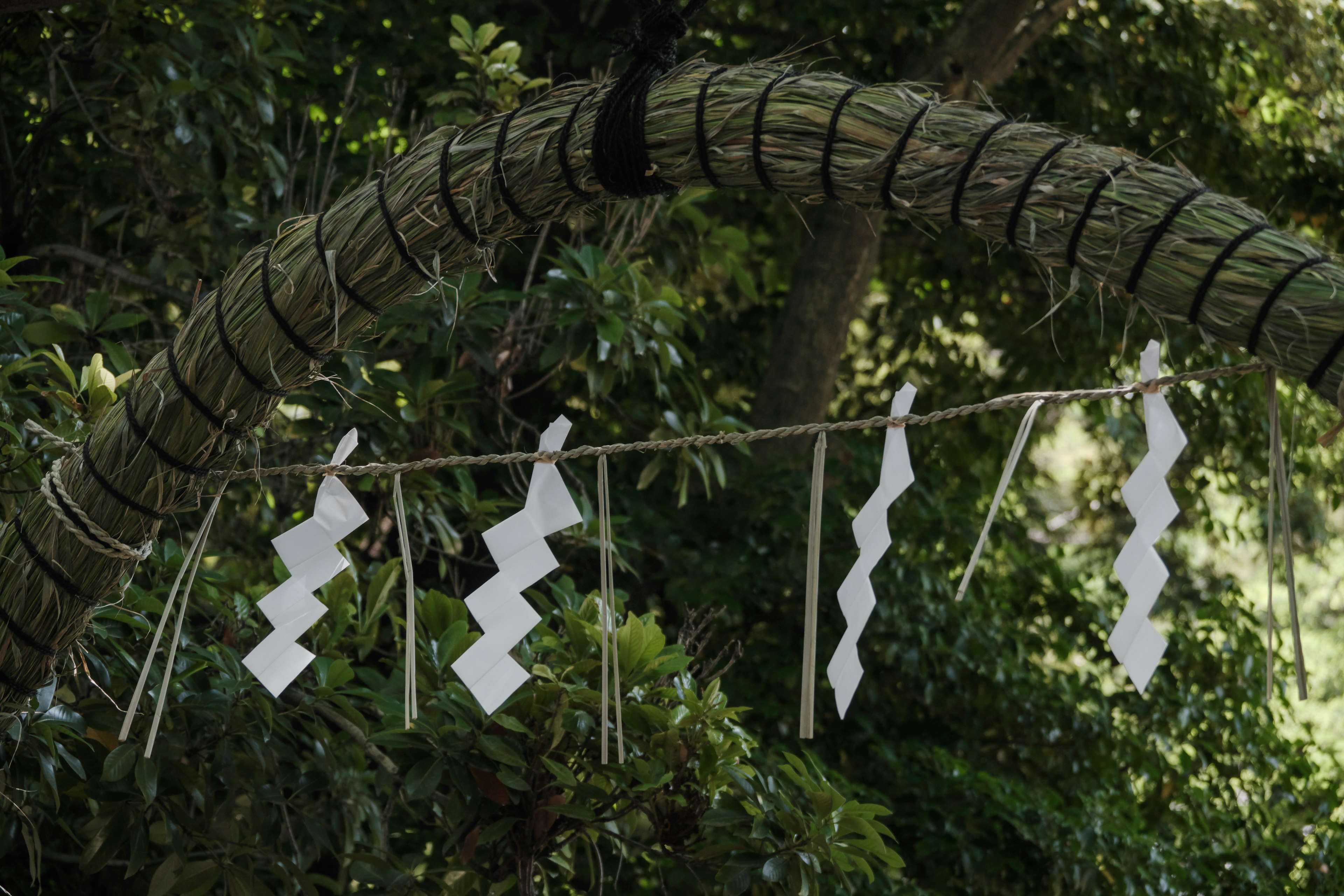 White shimenawa and decorations hanging from a tree branch