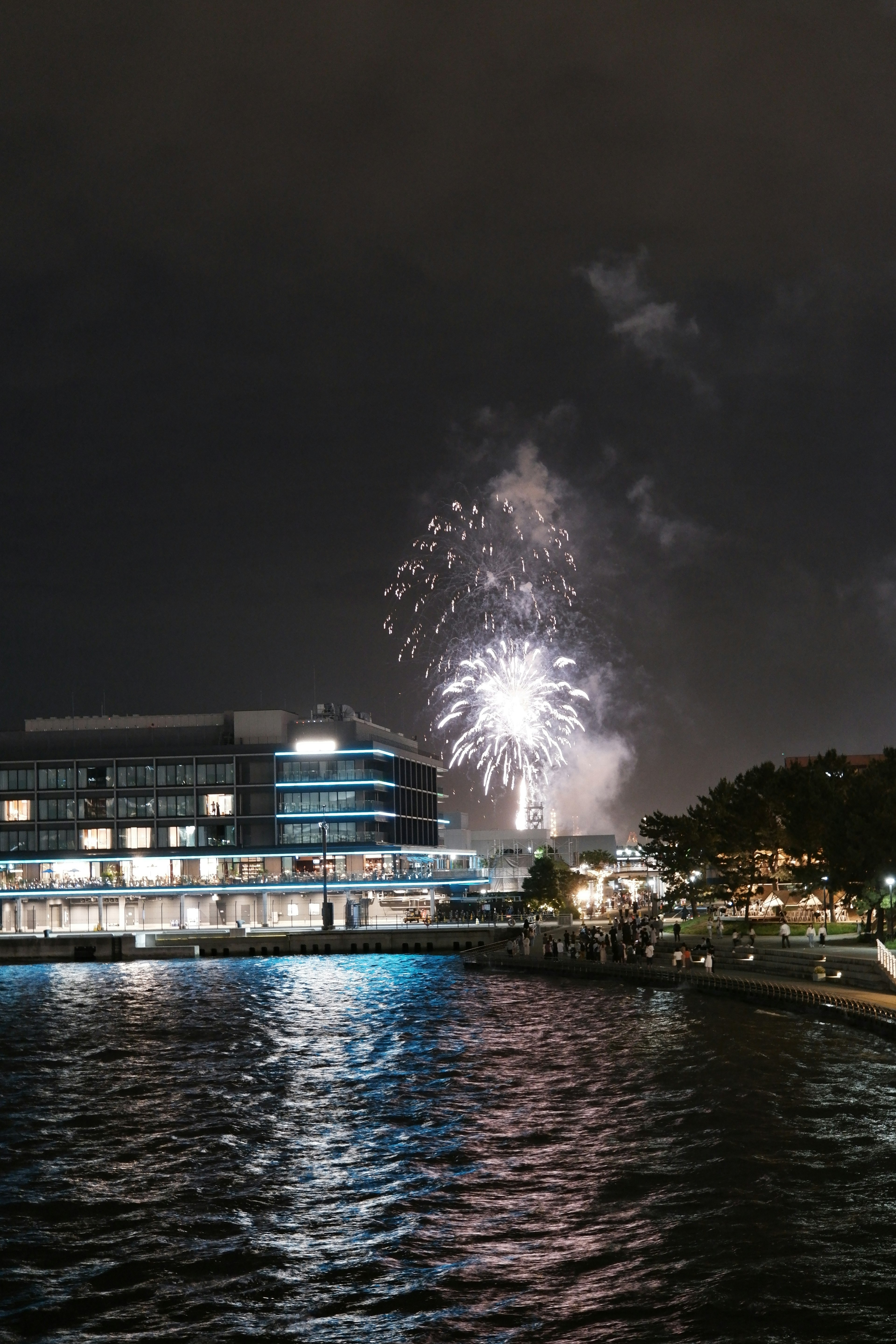 Fuegos artificiales iluminando el cielo nocturno con un edificio reflejado en el agua