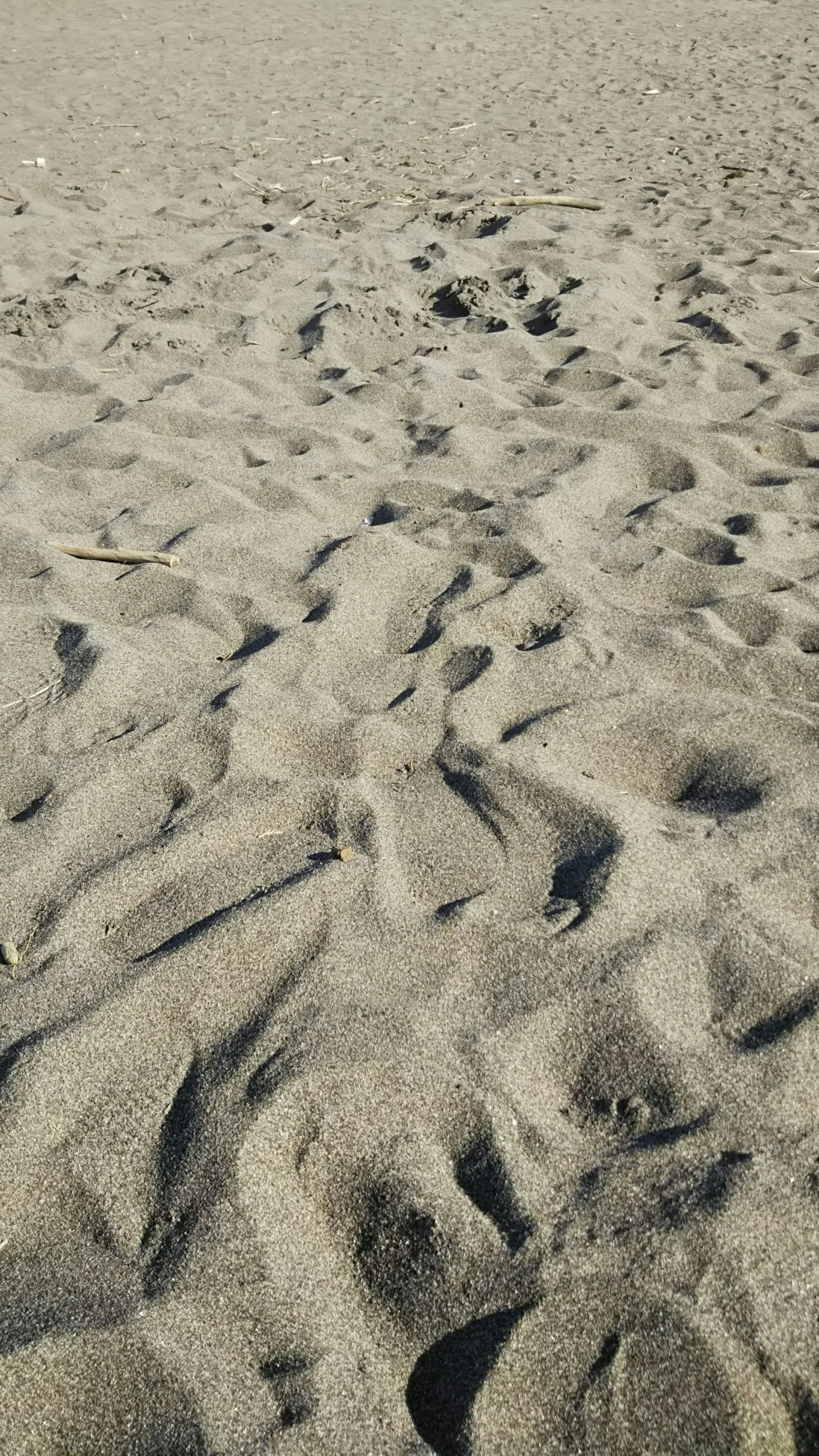 Image de texture de plage de sable avec des empreintes de pas