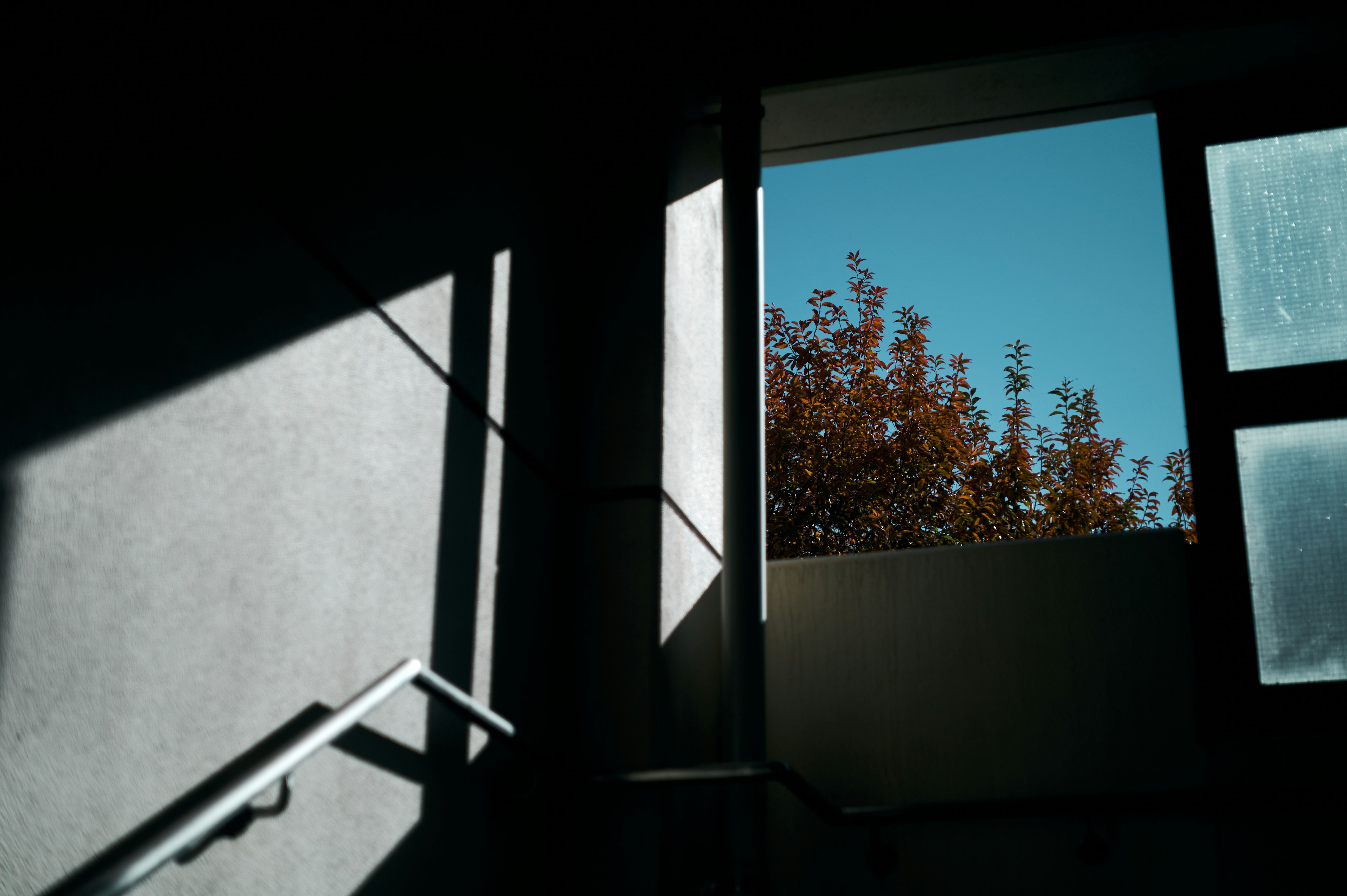 Vista del cielo azul y hojas de otoño a través de una ventana de escalera