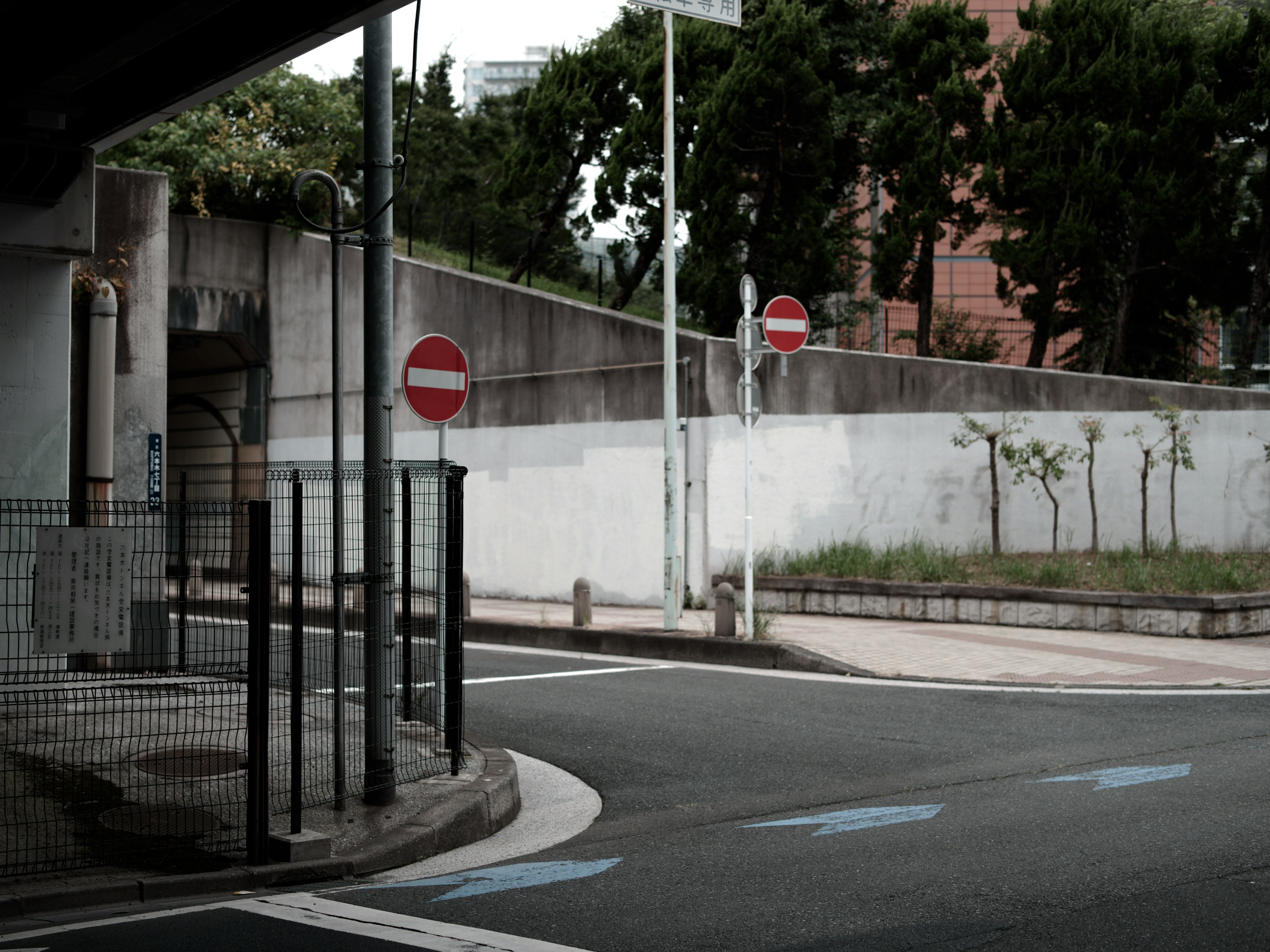 Curved road with no entry signs and greenery in the background