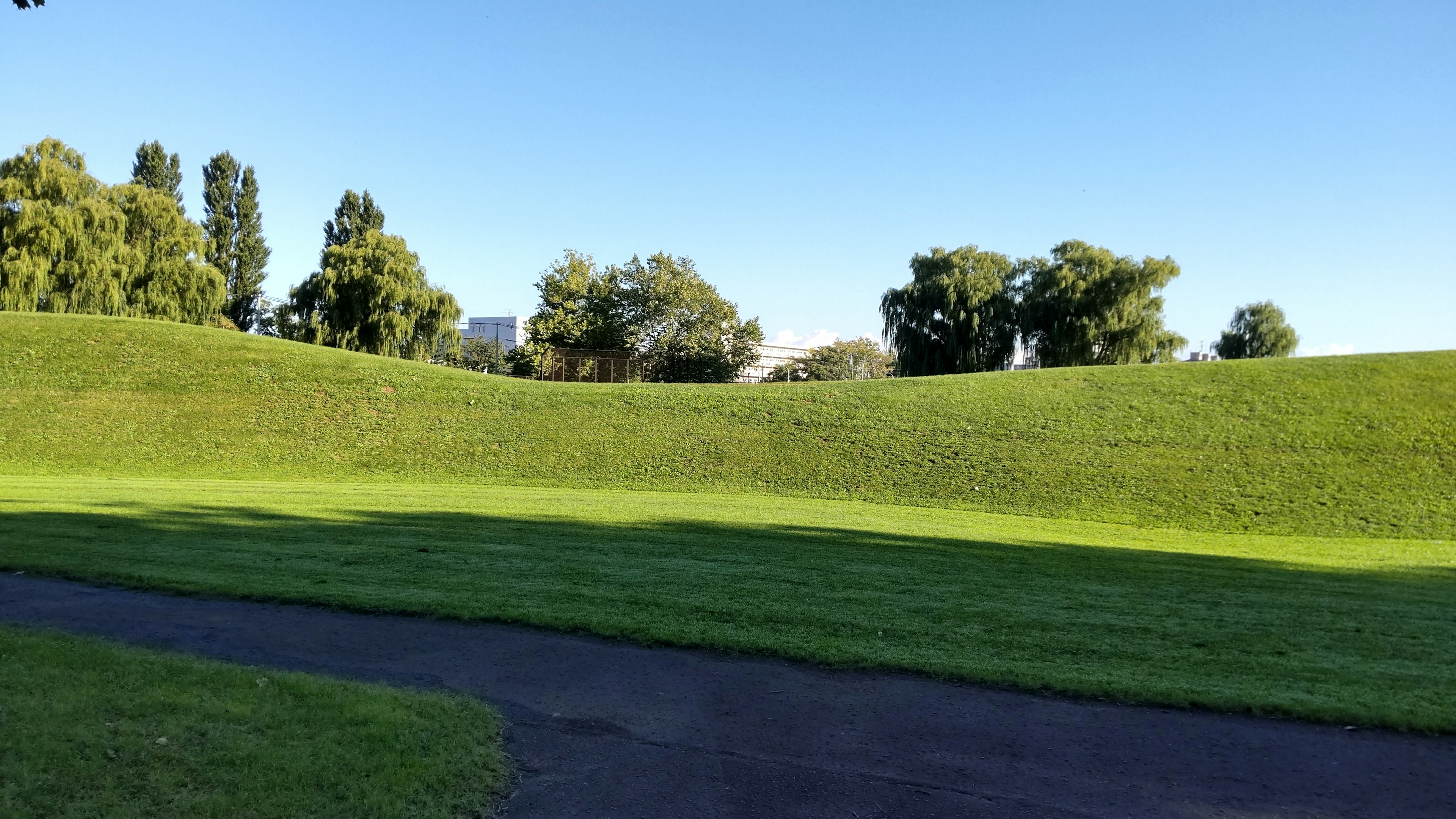 Green hills under a clear blue sky with a paved path