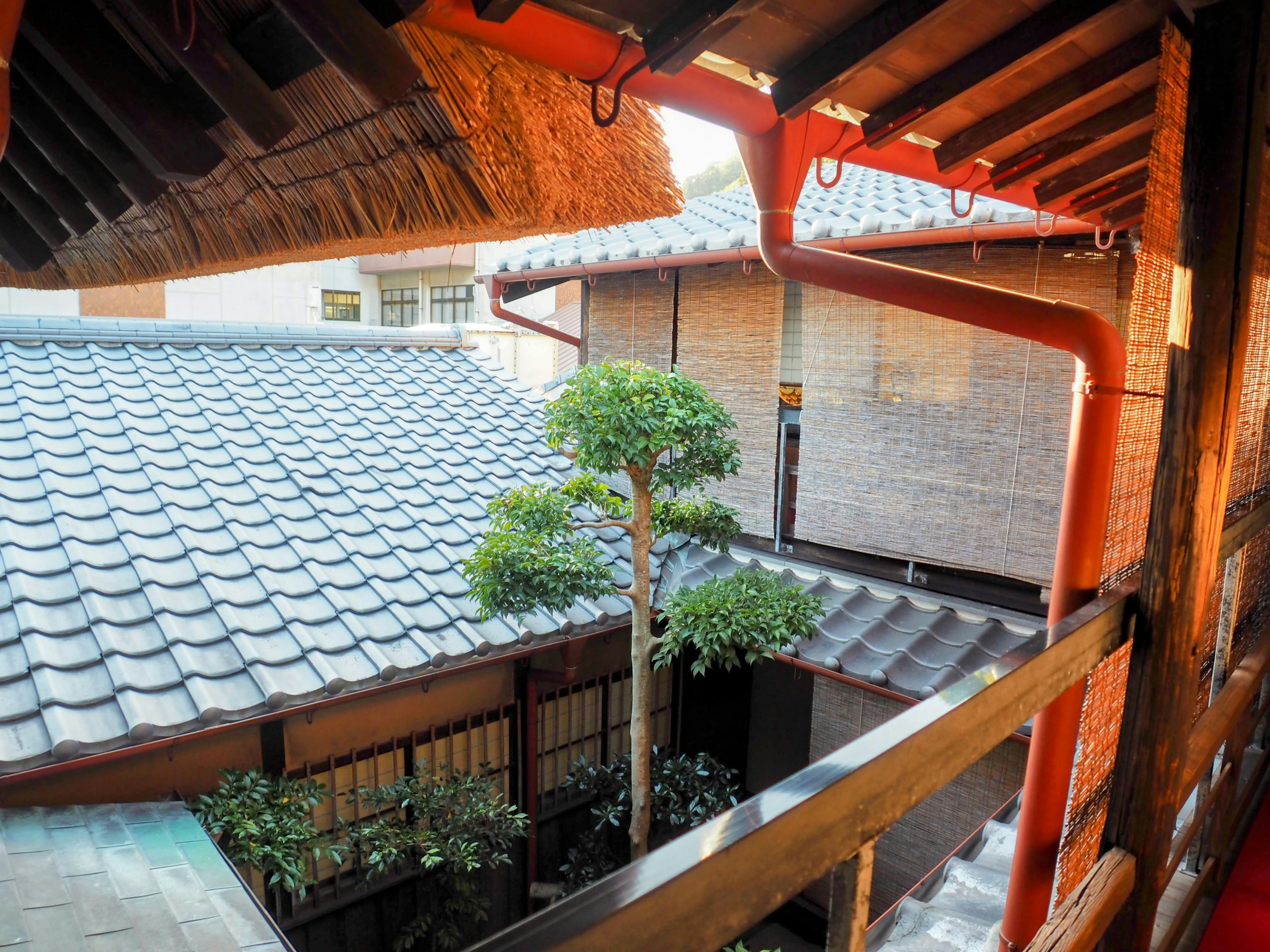 Vue d'une cour de maison japonaise traditionnelle avec des piliers rouges et des toits en tuiles arborant un arbre vert