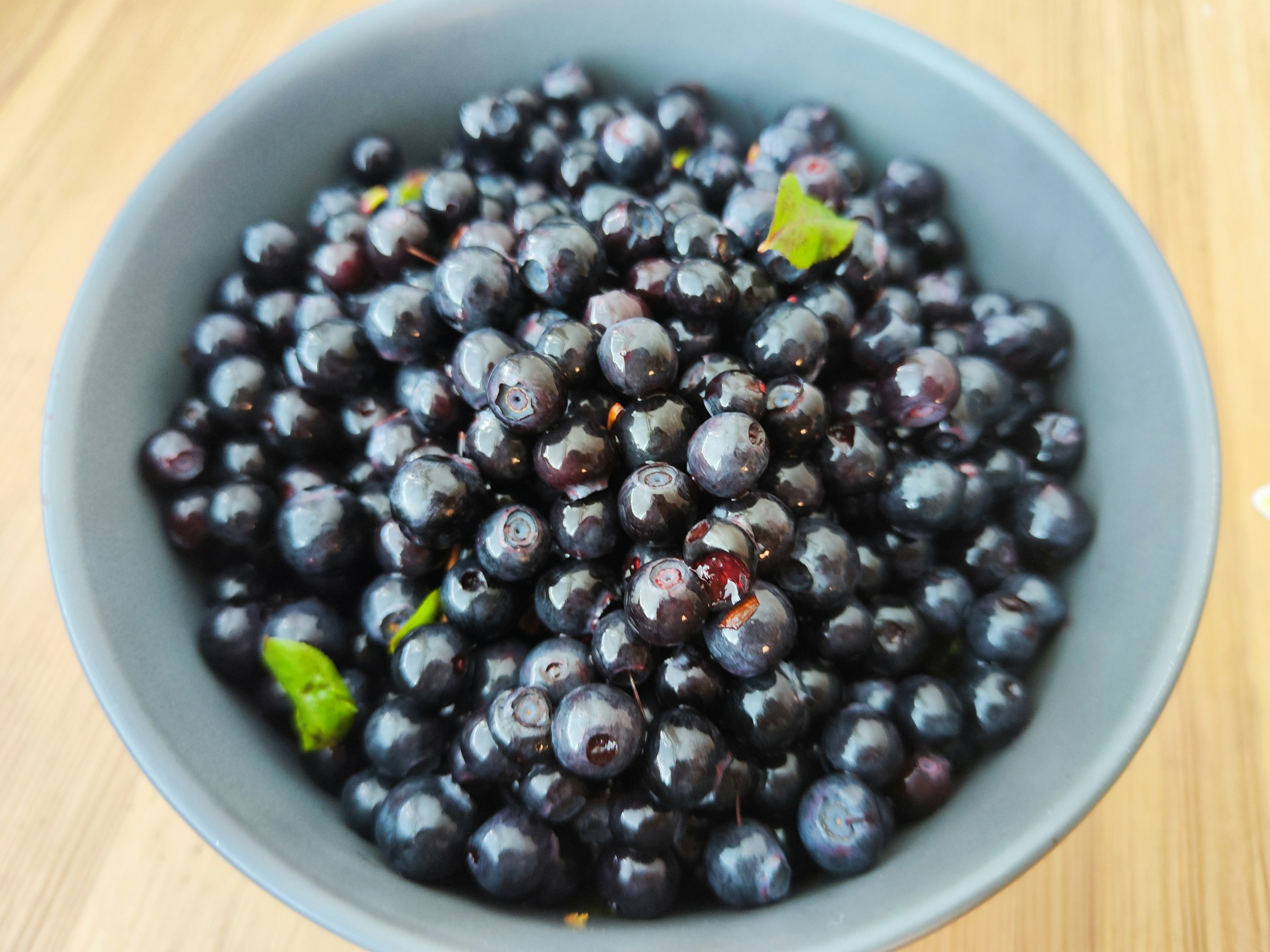 Eine Schüssel voller dunkler Beeren