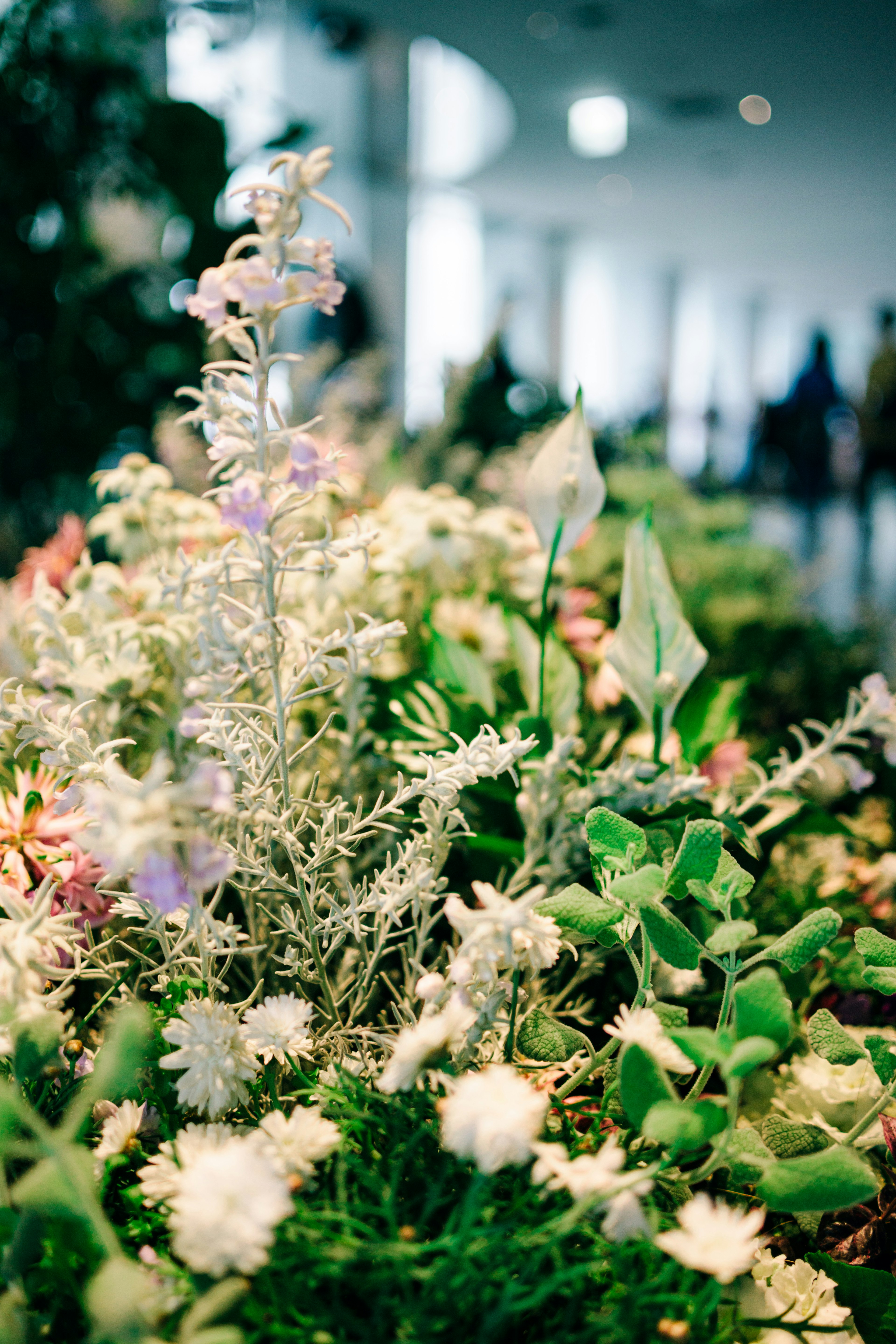 色とりどりの花と緑の植物が混ざり合った美しい風景