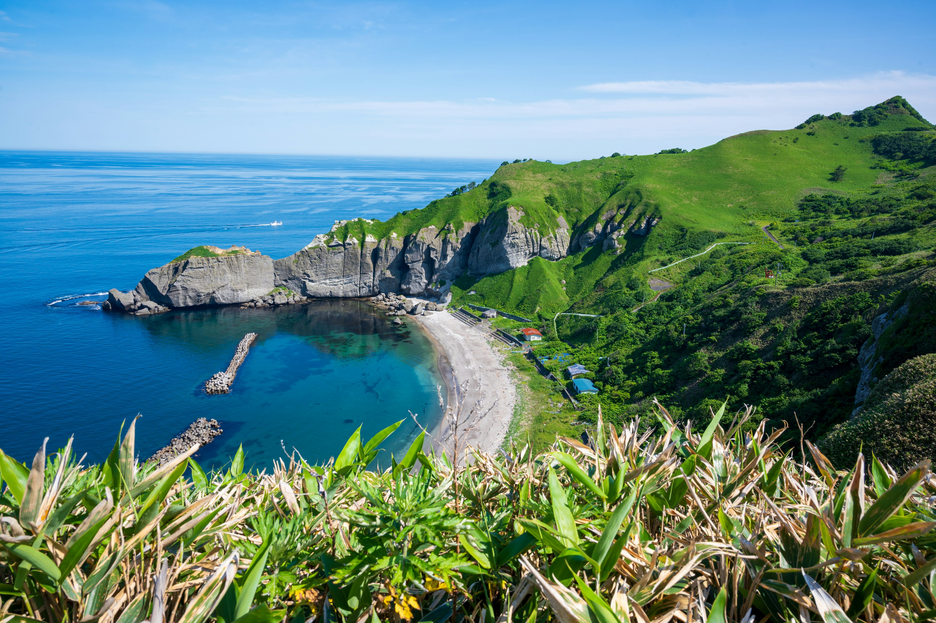 美しい海岸線と緑の丘が広がる風景