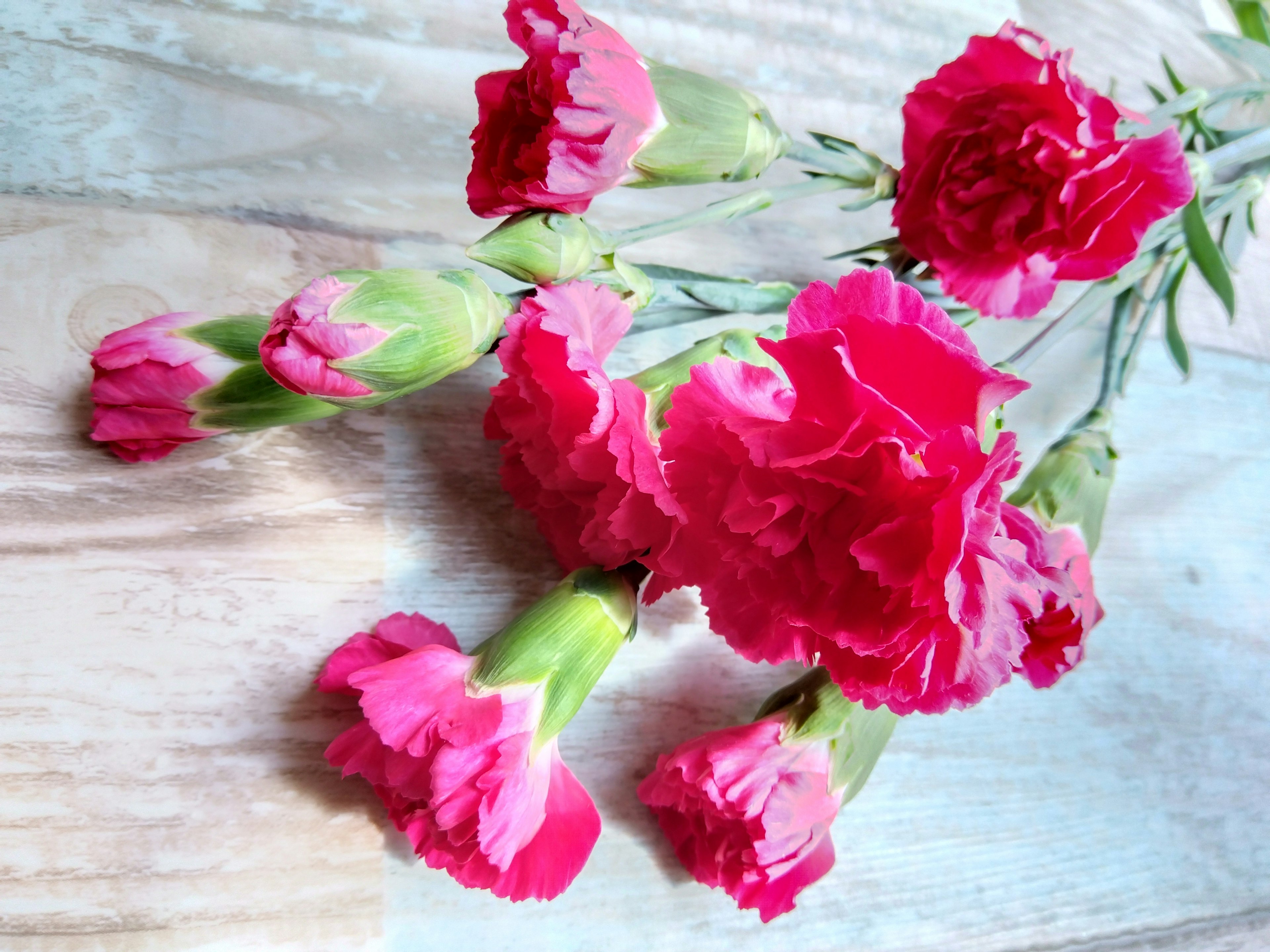 A vibrant bouquet of pink carnations placed on a wooden table