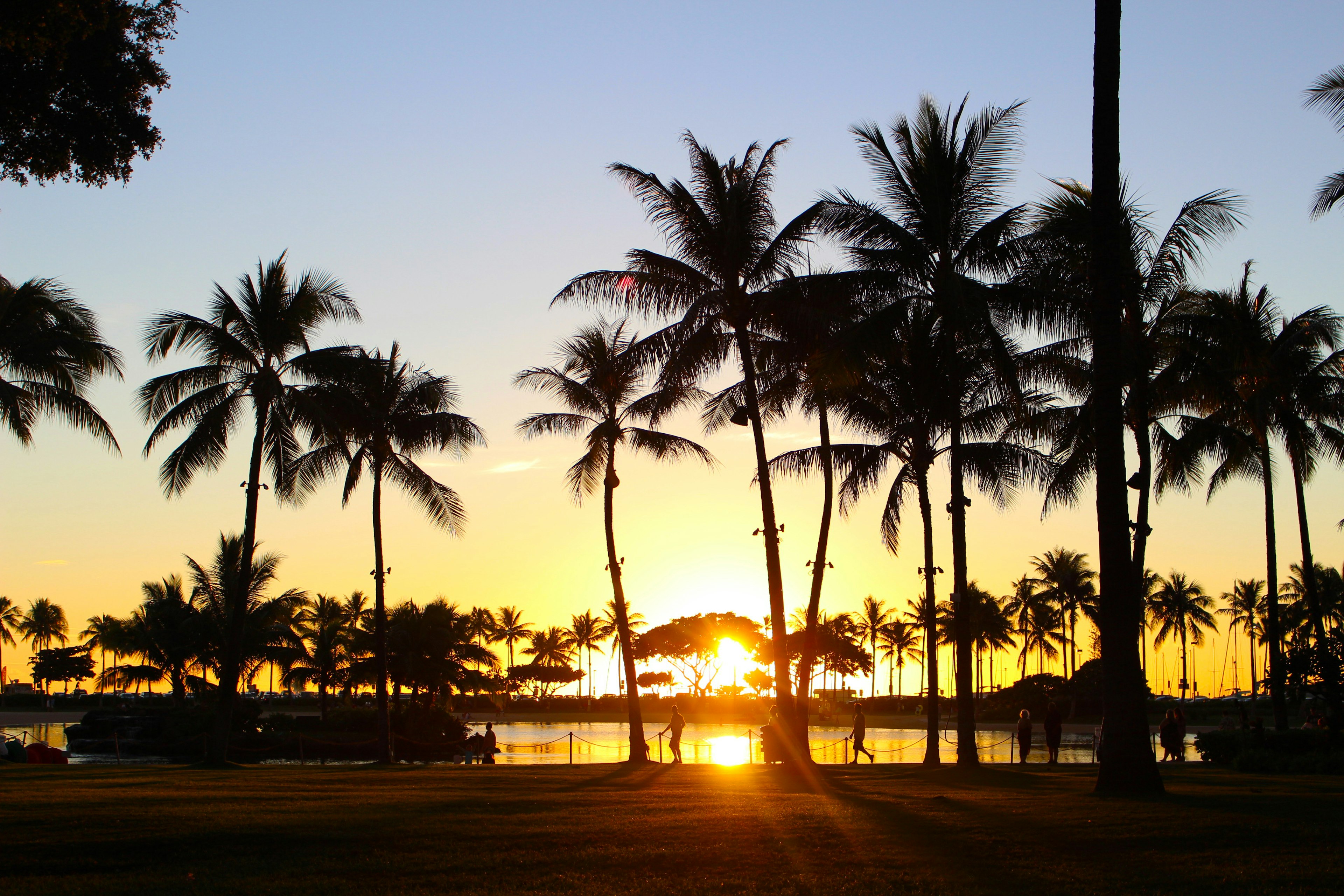 Silhouette de palmiers au coucher de soleil sur une belle plage