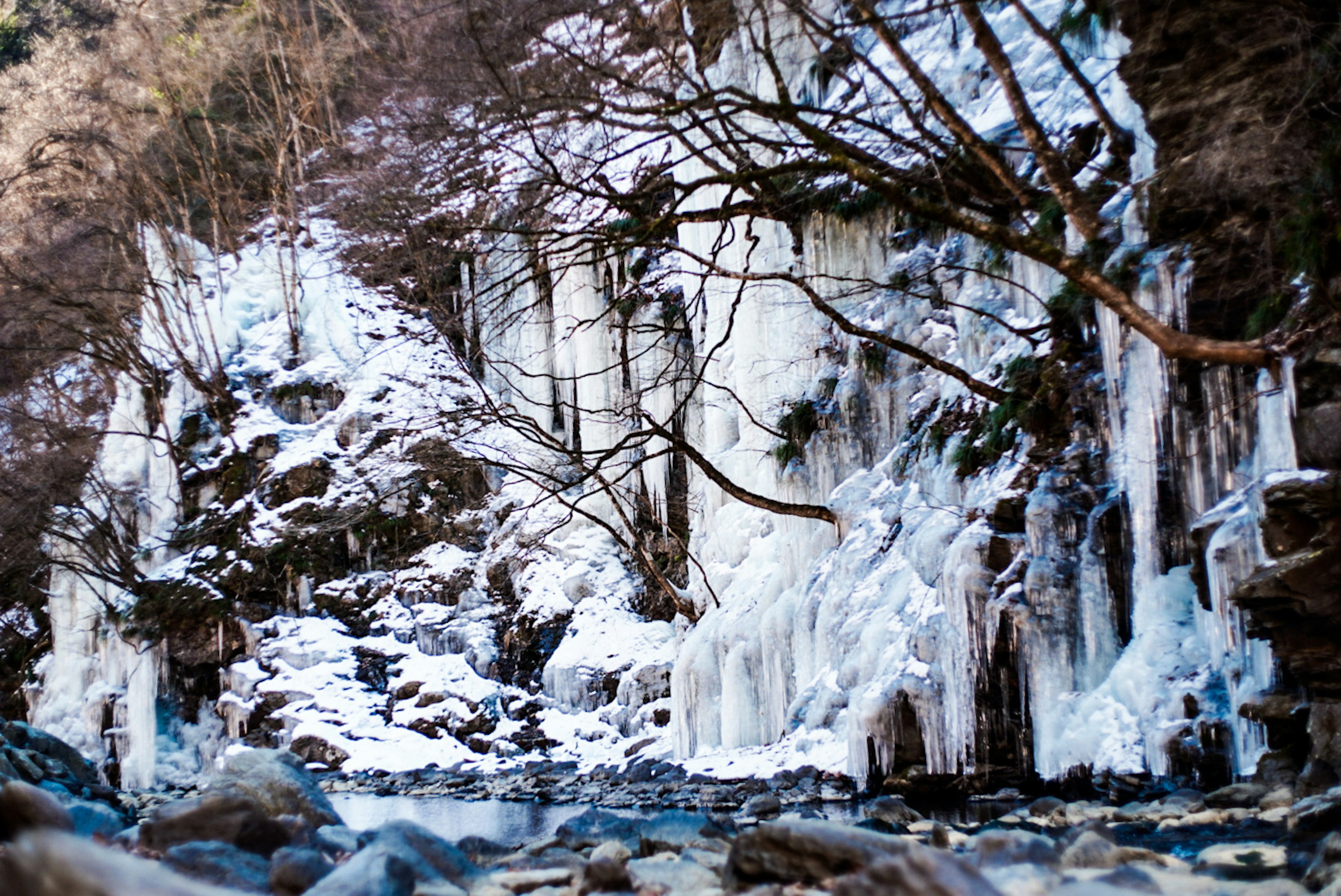 Frozen waterfall surrounded by trees and rocks