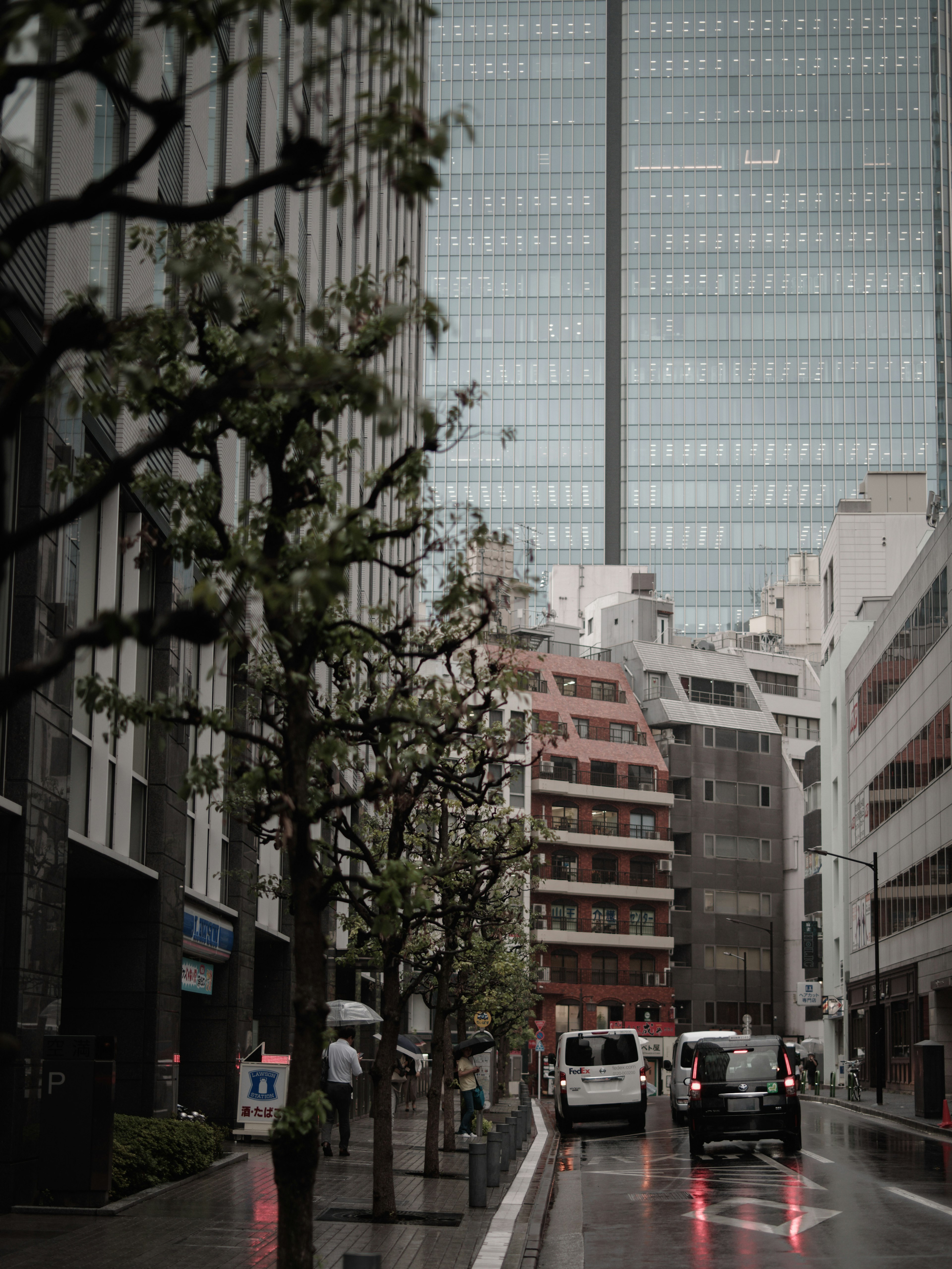 城市街道景觀，建築和樹木因雨水而潮濕，現代建築風格