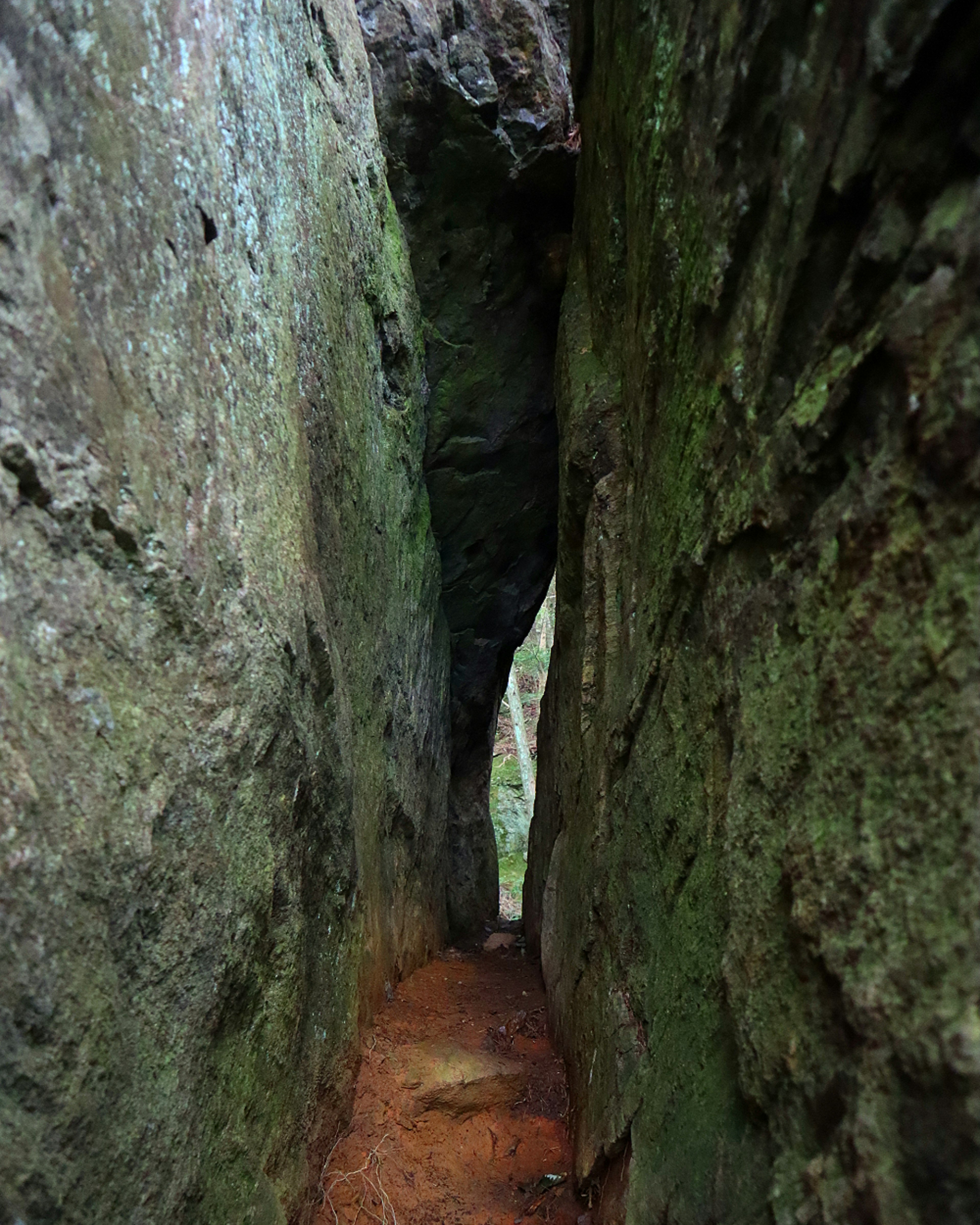 Narrow pathway between rocks with green moss