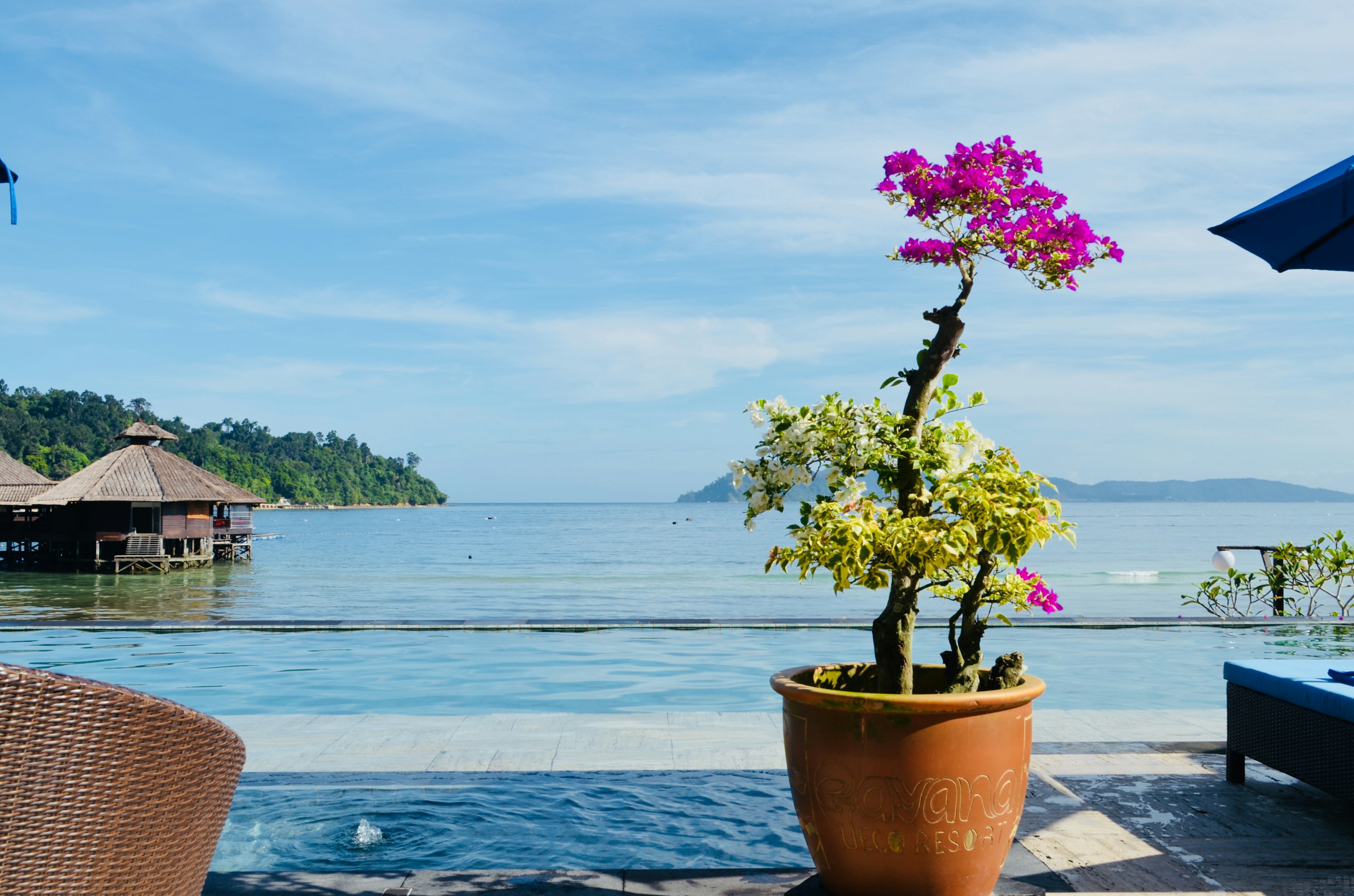 Vista escénica de una terraza con flores junto al mar ambiente de resort