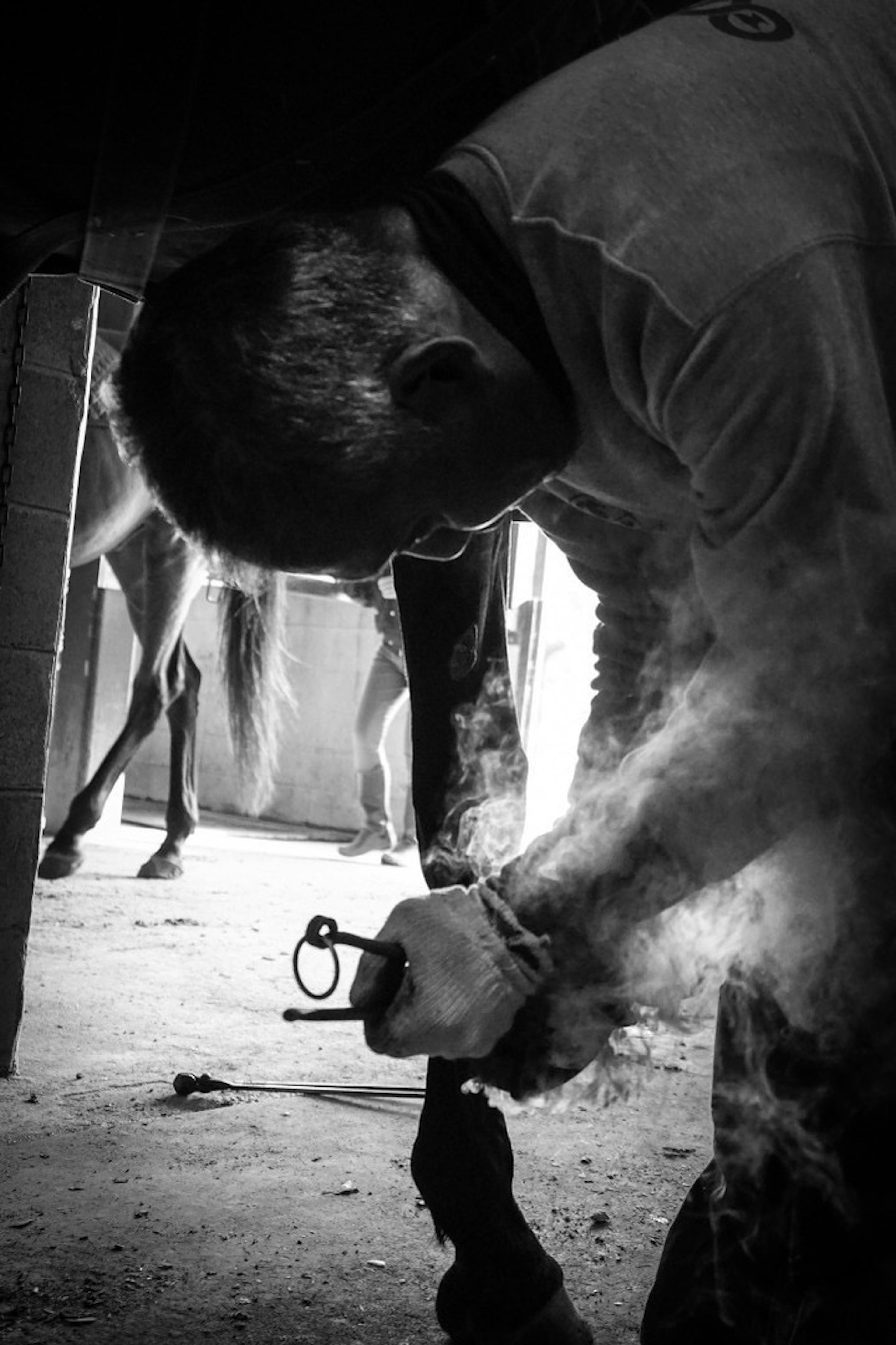 Black and white photo of a farrier trimming a horse's hoof