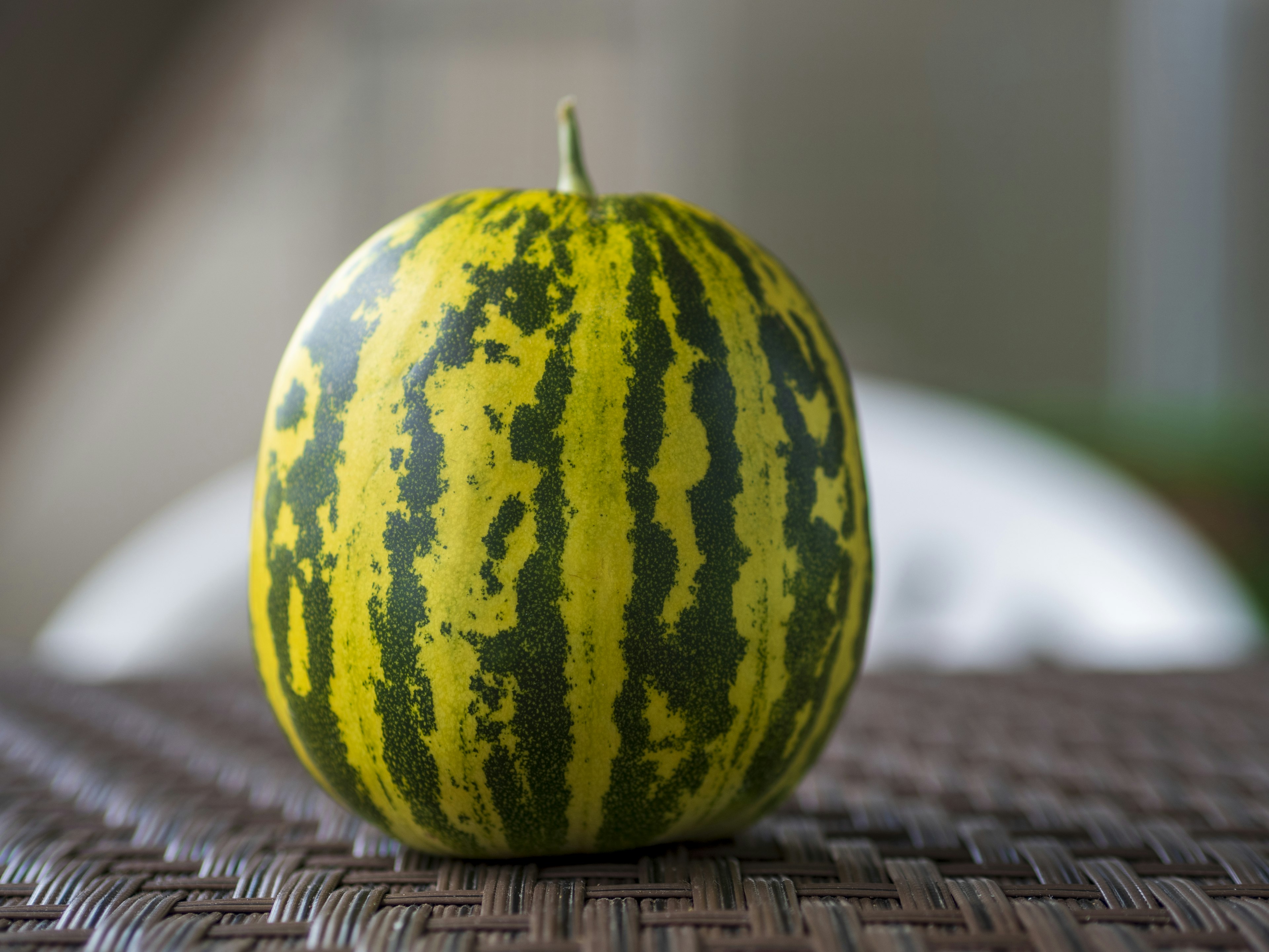 A striped green and yellow watermelon placed on a table