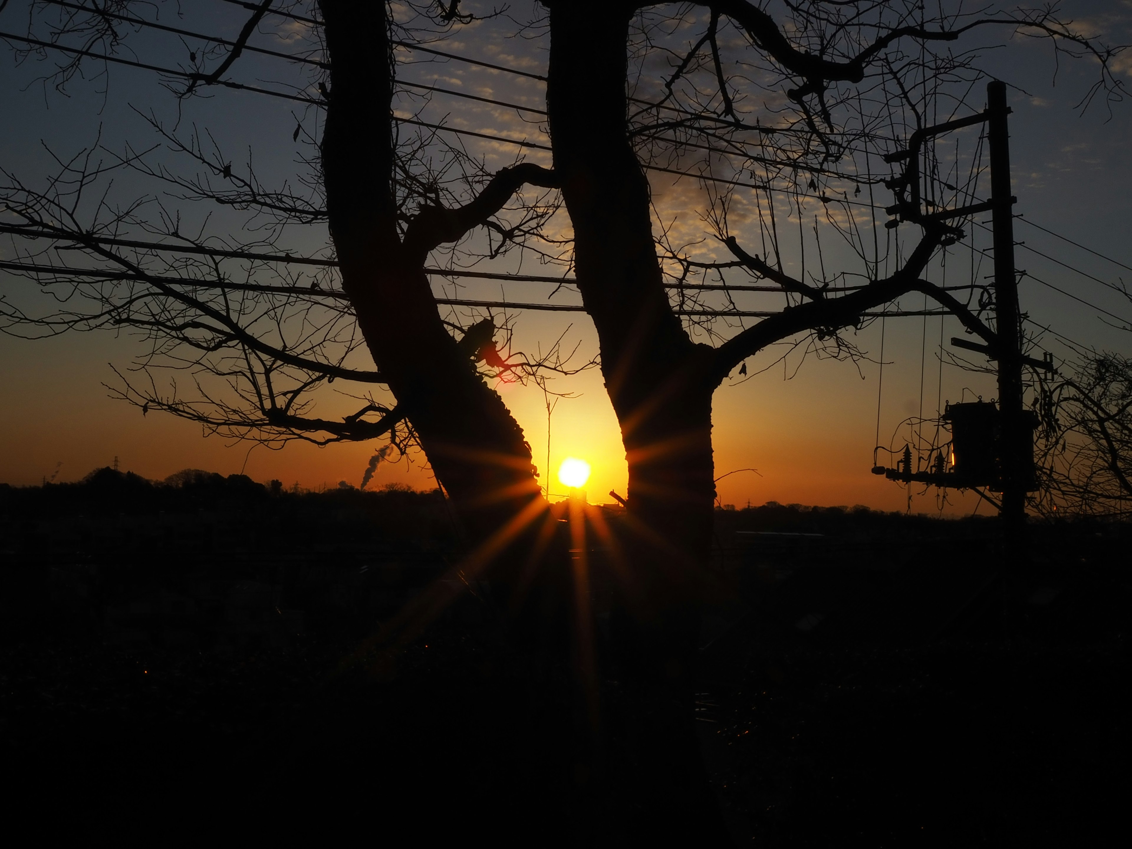 夕日が木の間から見えるシルエットの風景