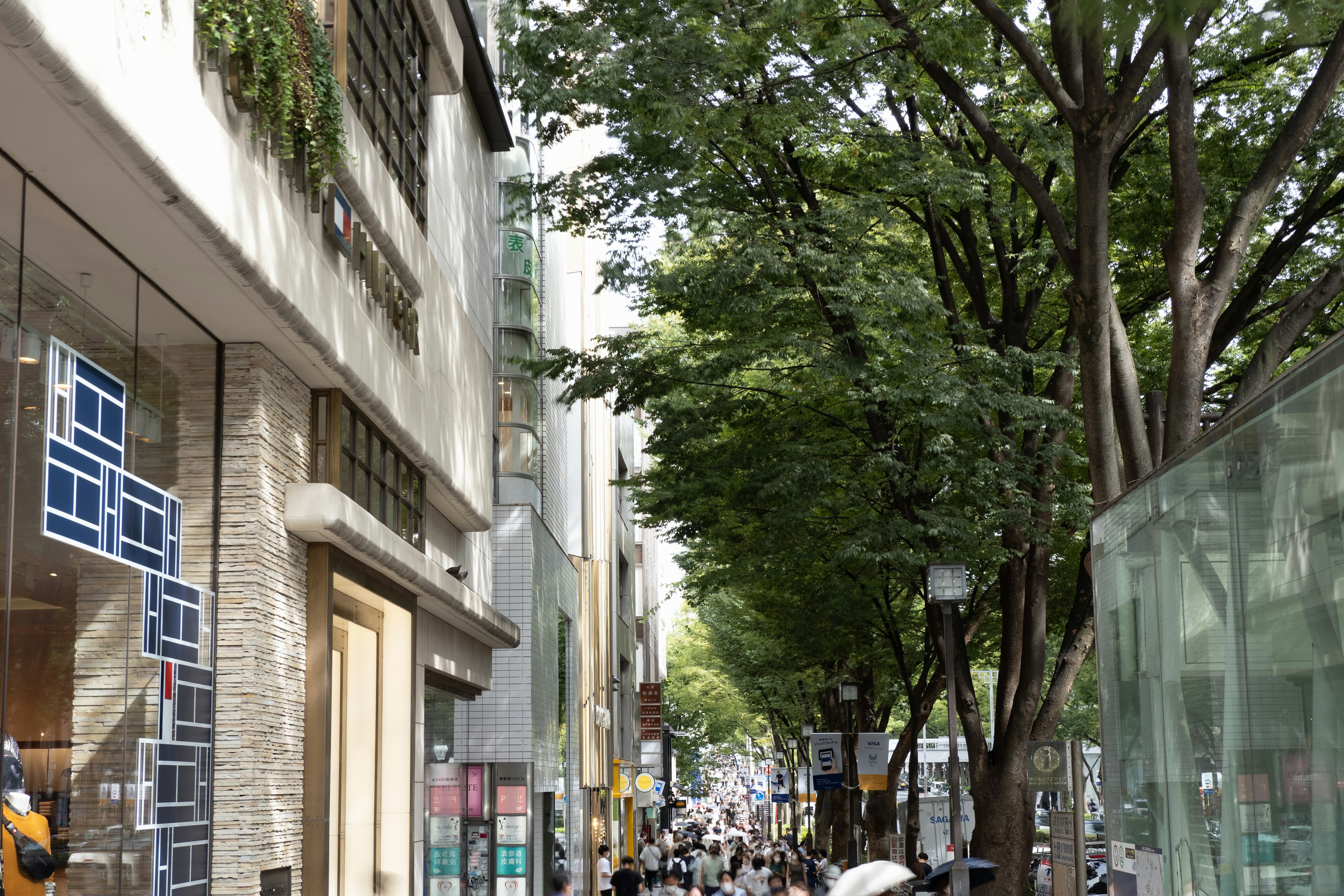 Bustling street scene lined with shops and green trees