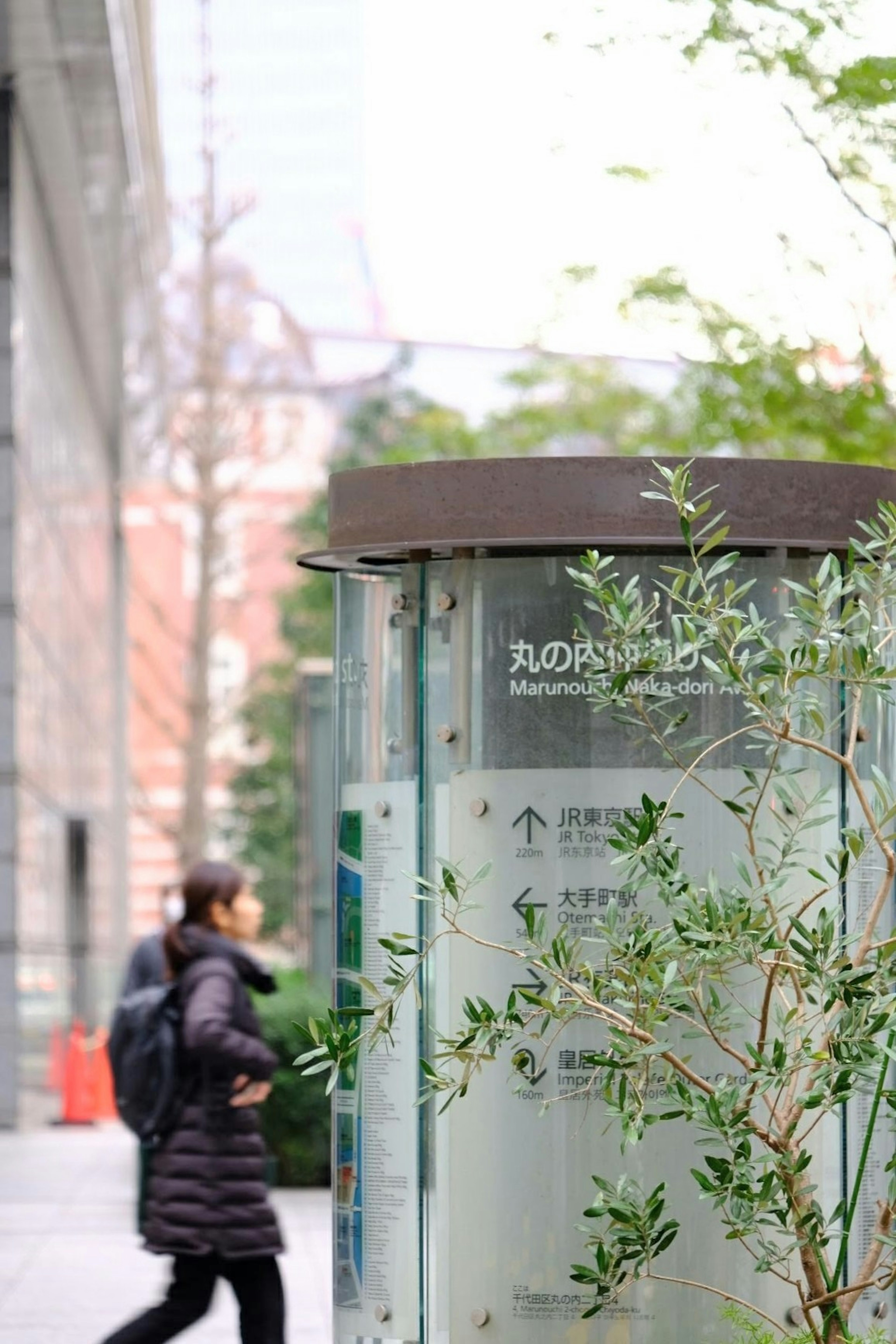 透明な案内板と緑の植物がある都市の風景