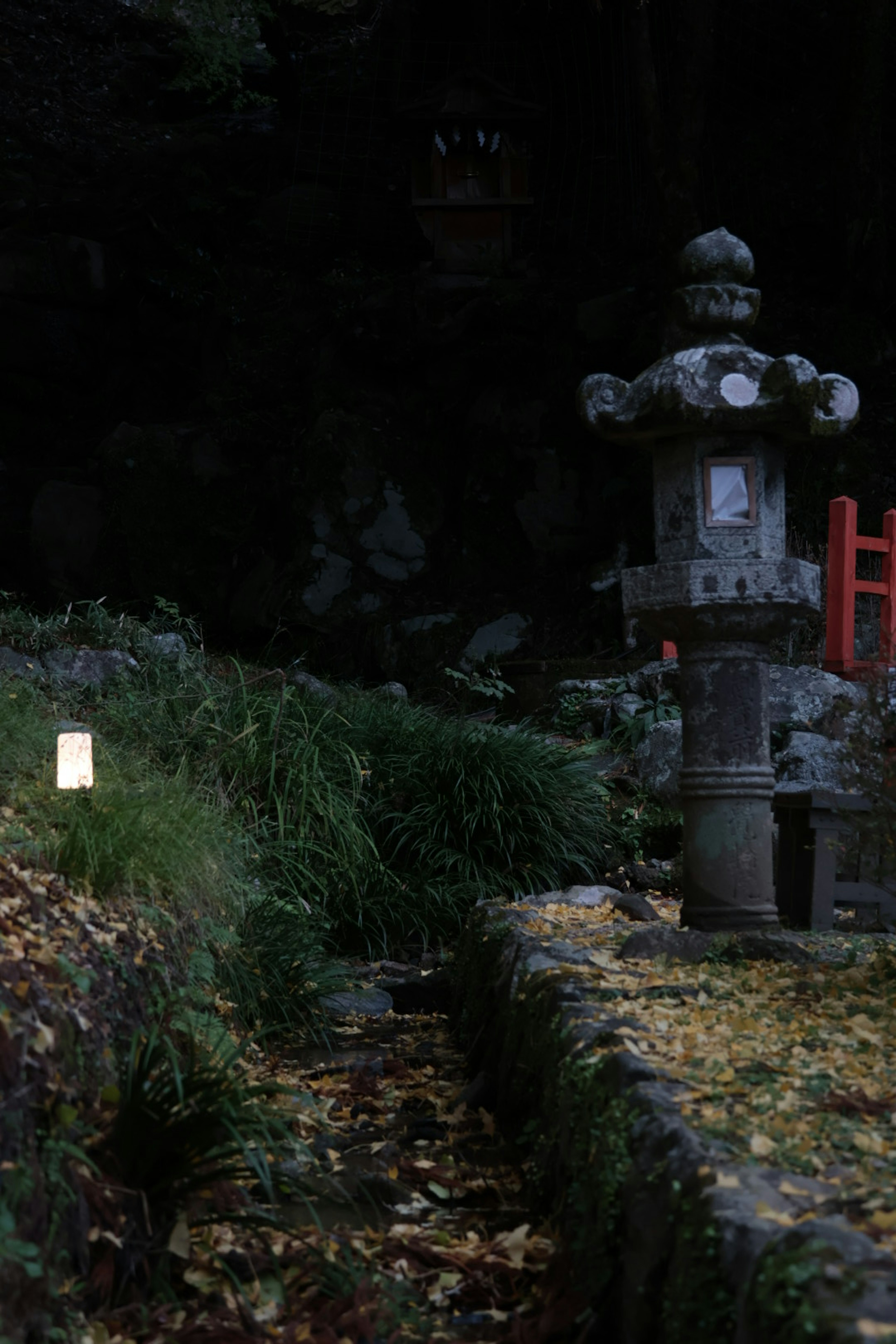 Stone lantern in a dark garden surrounded by greenery and scattered leaves