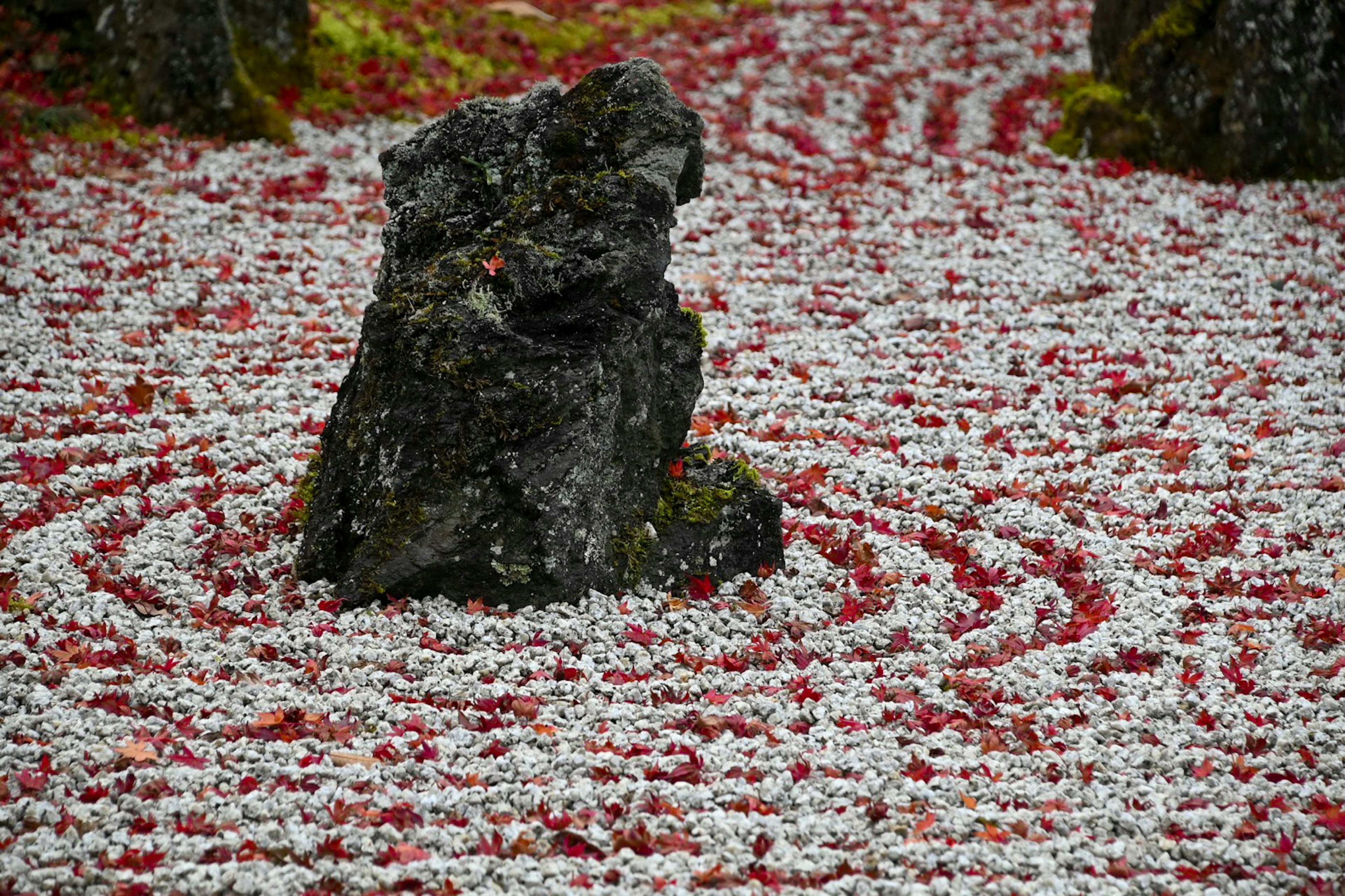 Jardin avec une pierre entourée de motifs tourbillonnants de feuilles d'automne