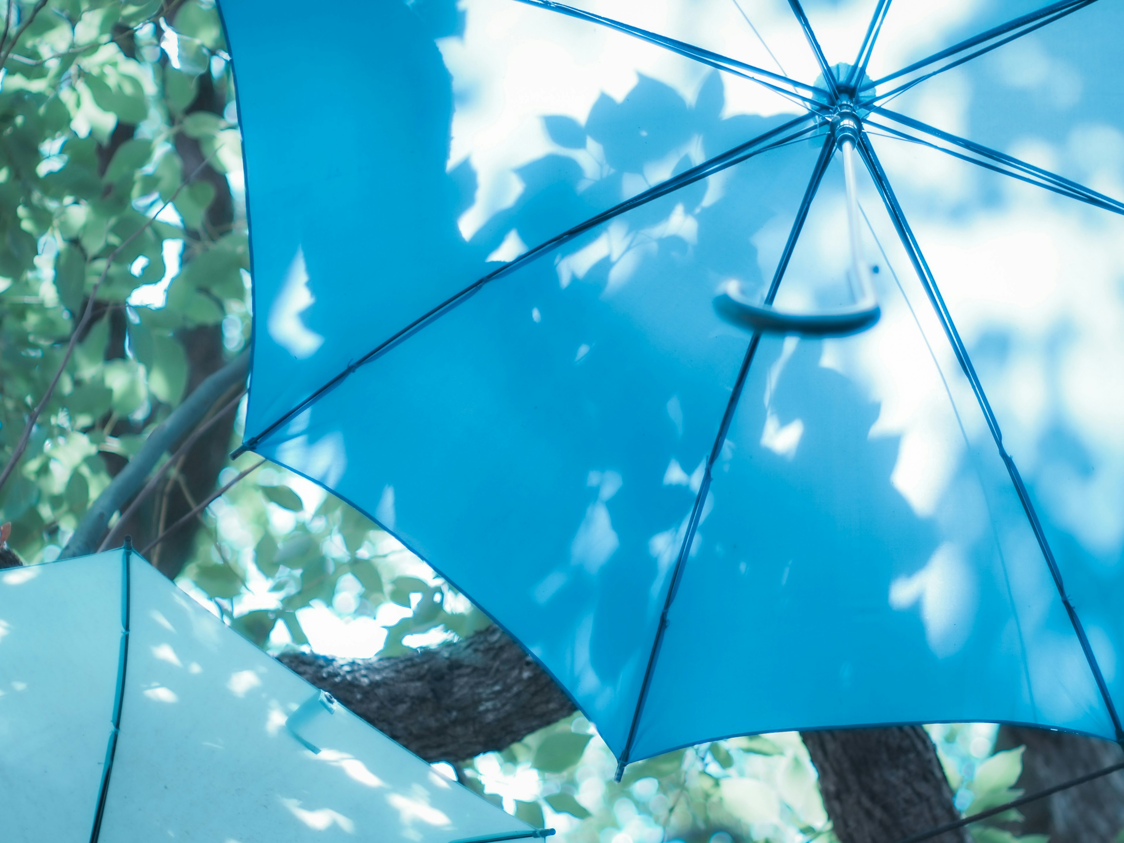 Blue umbrellas with leaf shadows in a serene setting