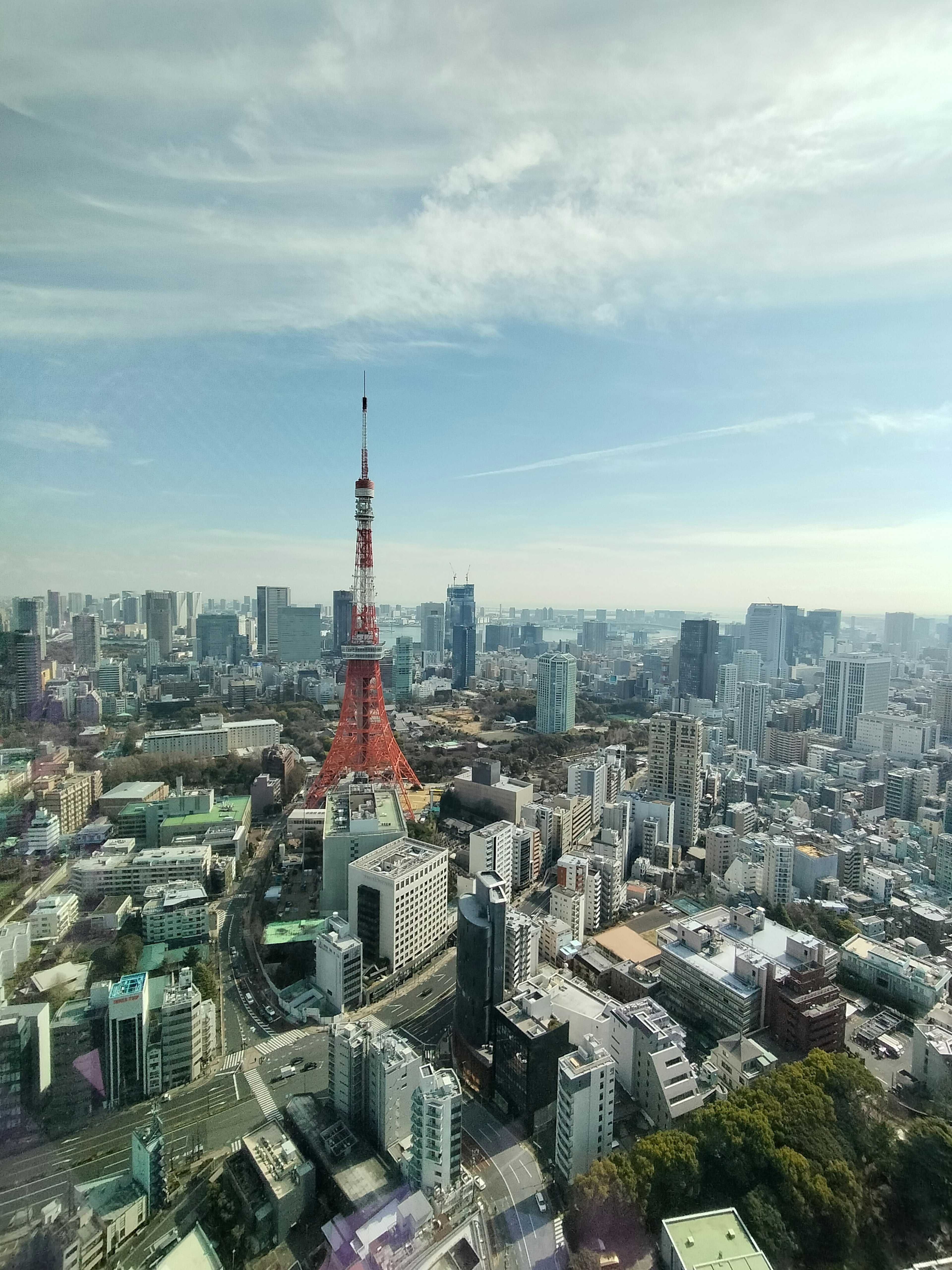 Pemandangan kota Tokyo dengan Tokyo Tower