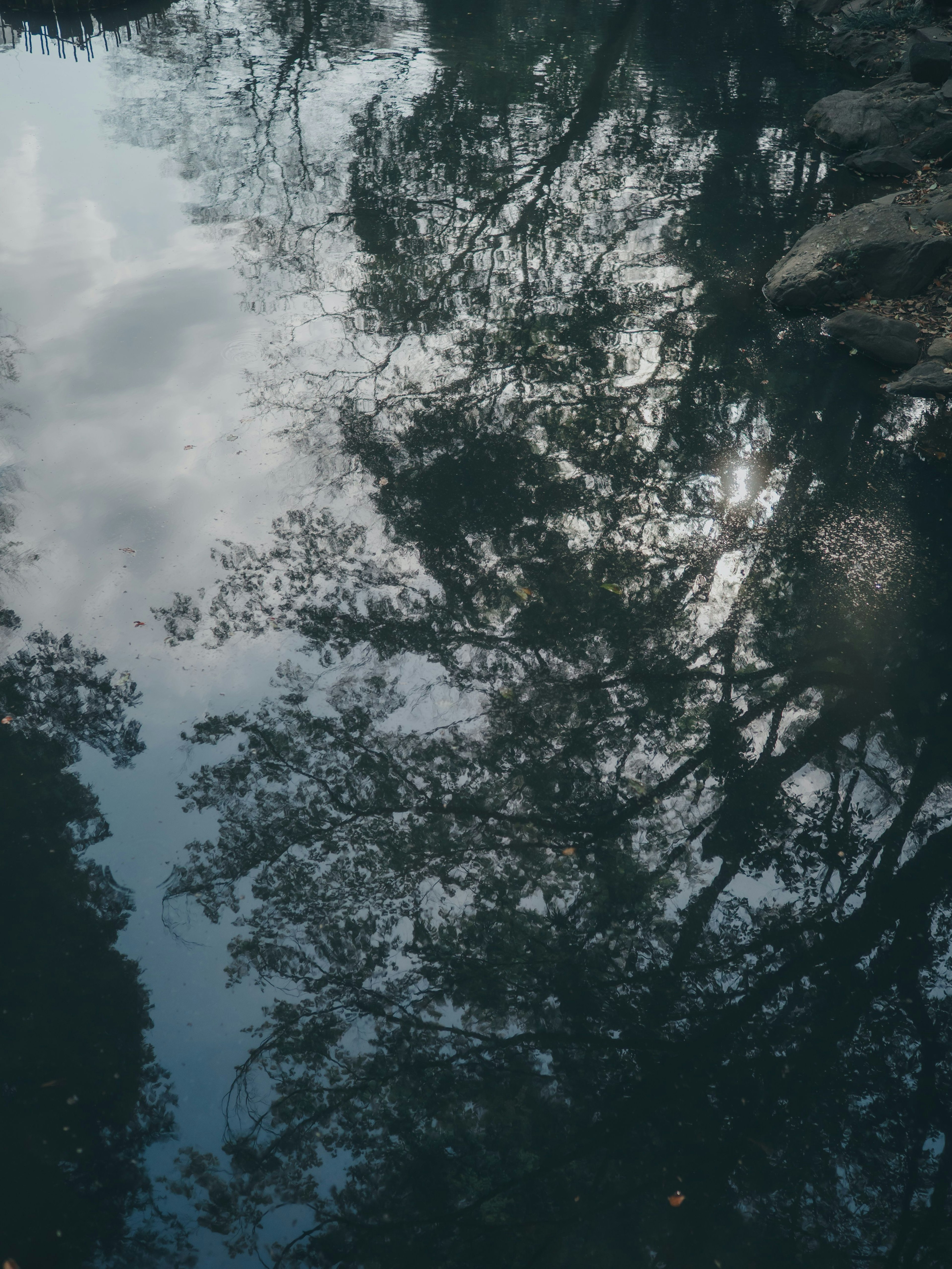 Ruhige Szene mit Reflexionen von Bäumen und Himmel auf der Wasseroberfläche