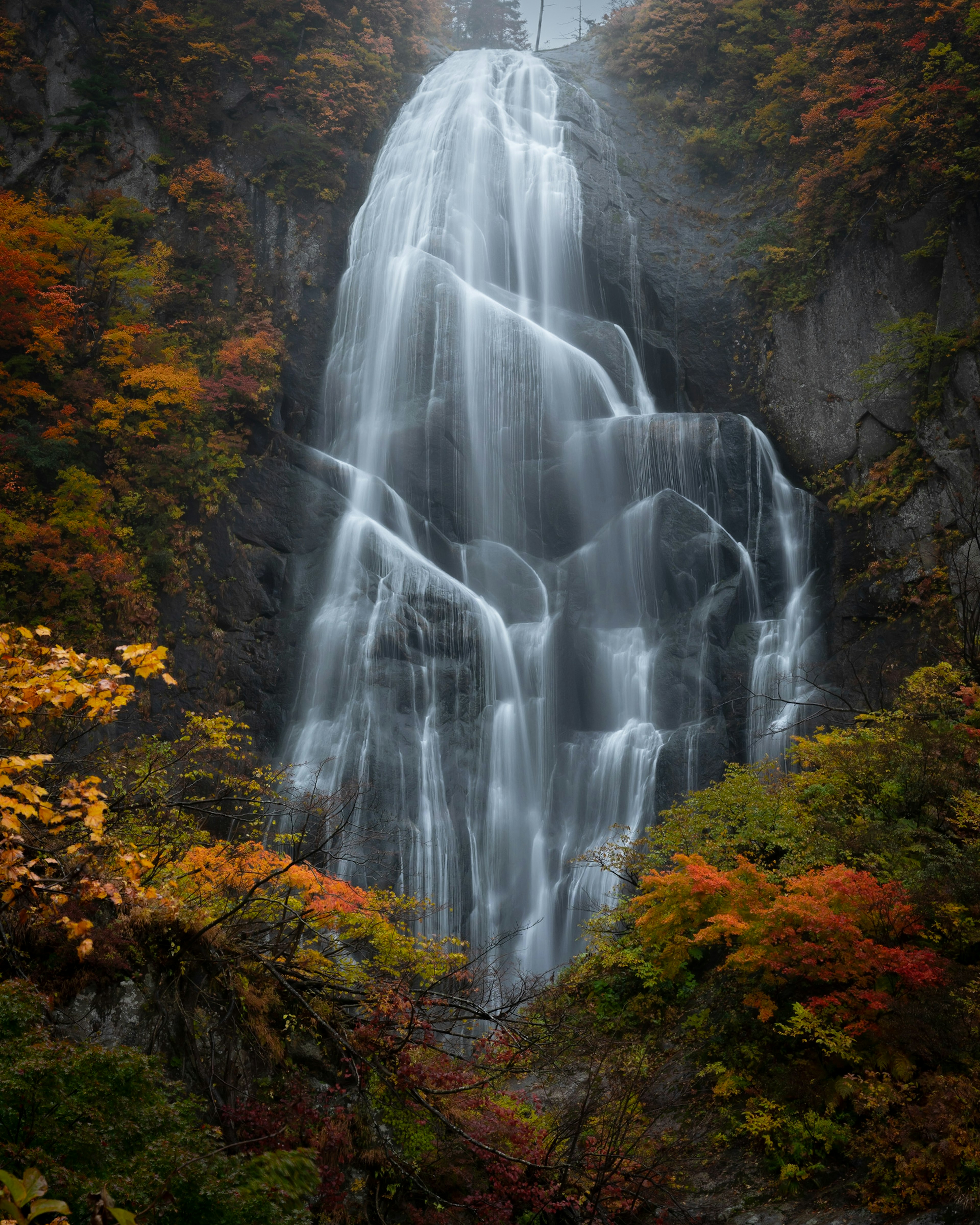 Una hermosa cascada rodeada de follaje otoñal