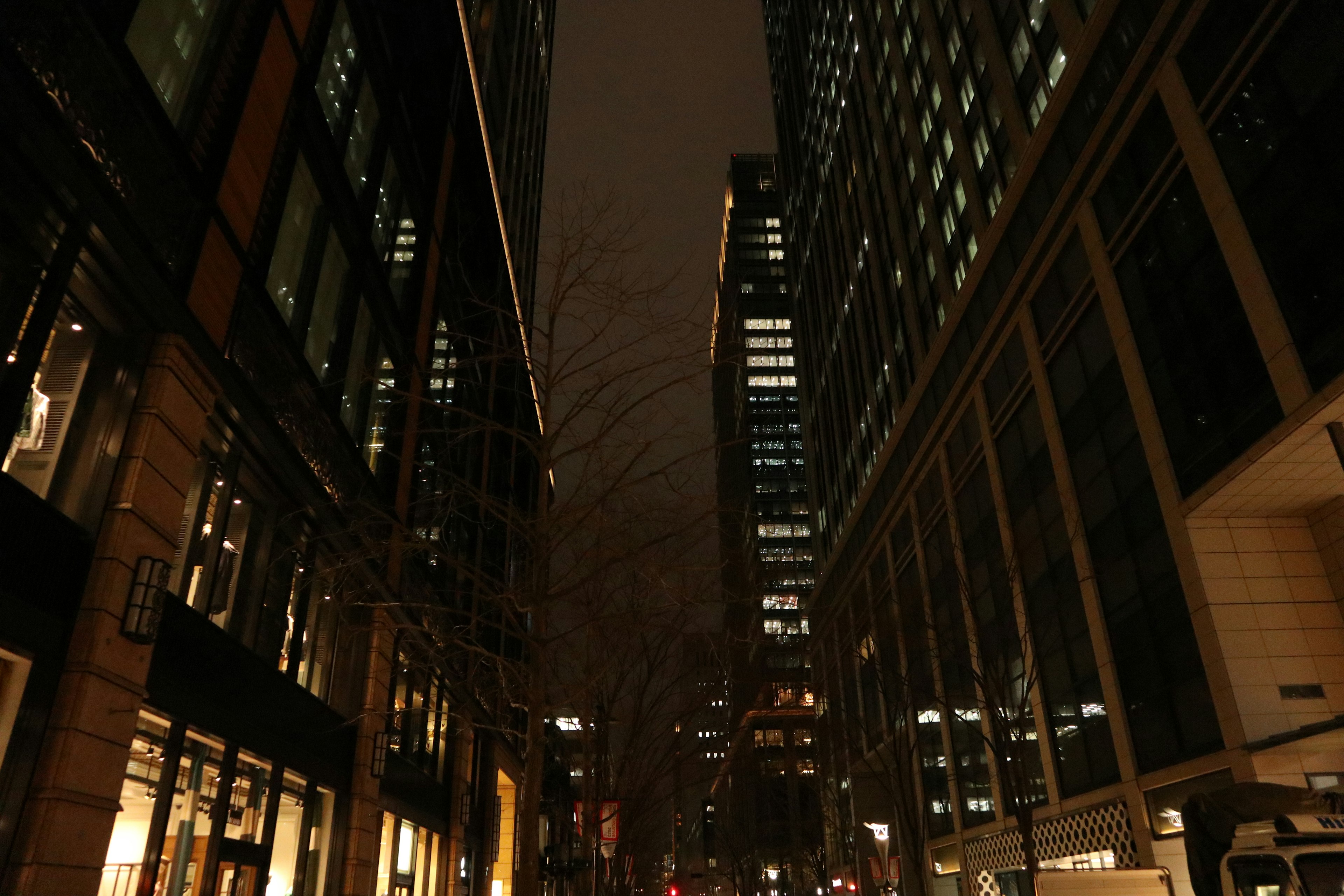 Paisaje urbano nocturno con edificios altos a lo largo de la calle