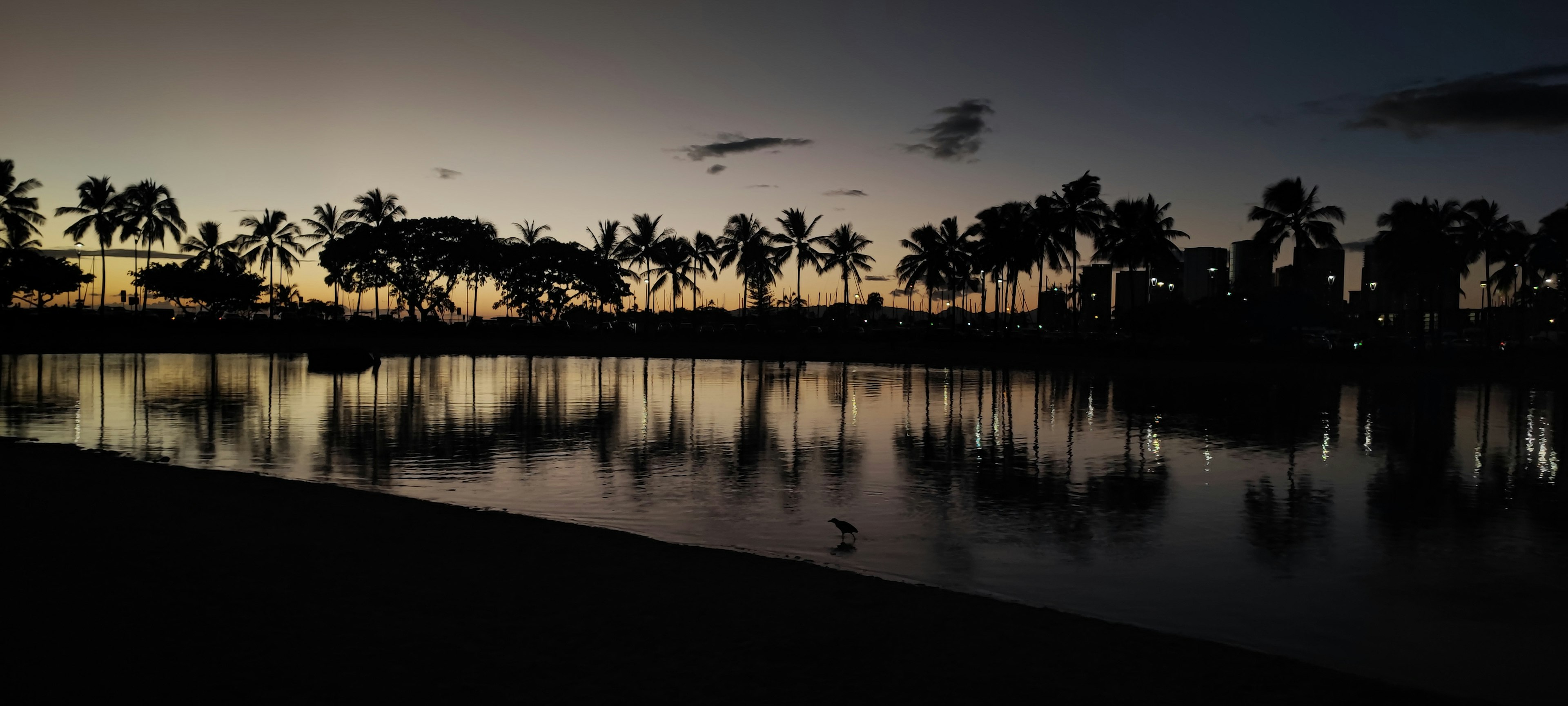 Silhouette de palmiers et ciel reflétés sur l'eau au crépuscule