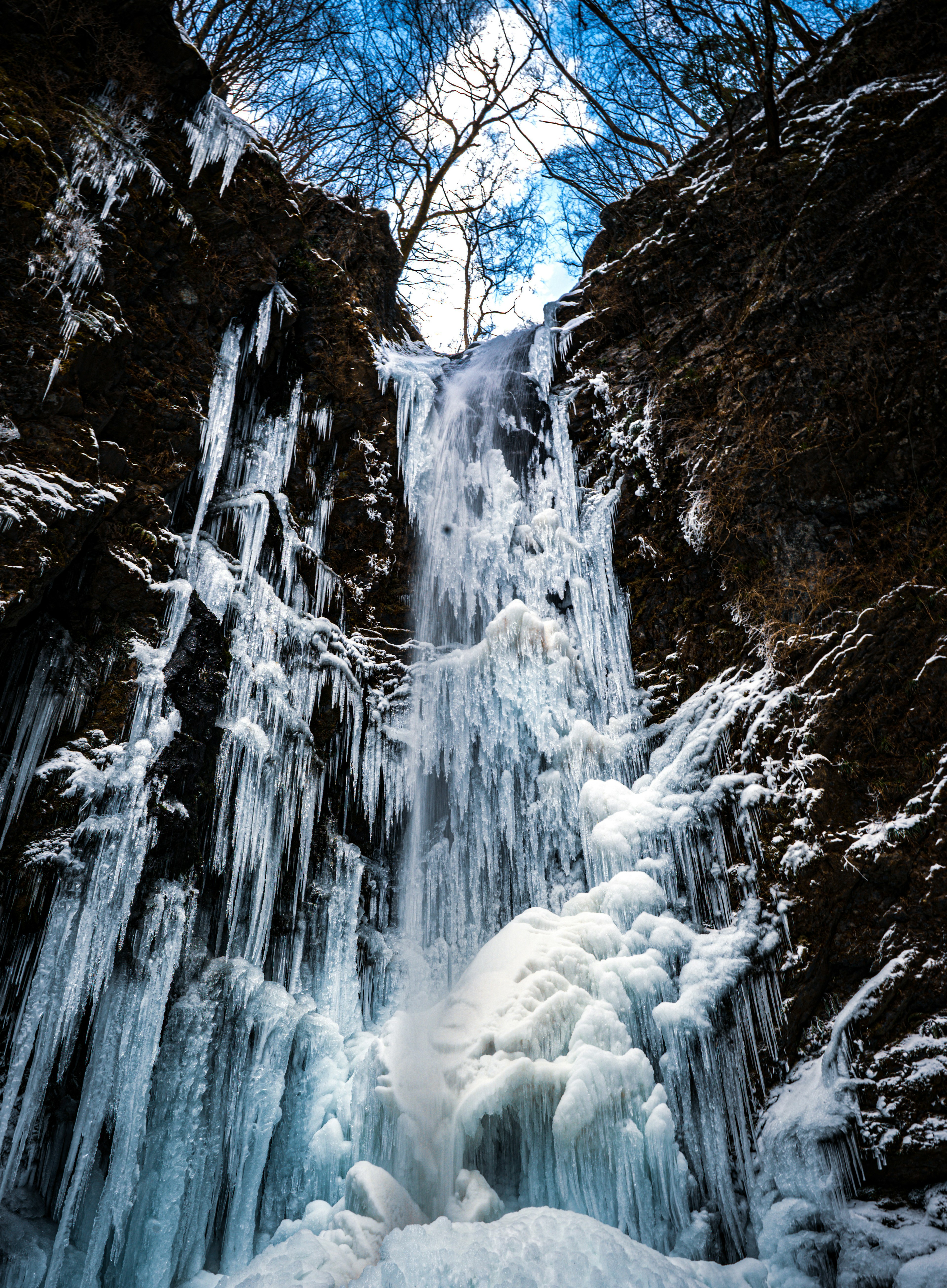 Vue majestueuse d'une cascade recouverte de glace avec un ciel bleu et des arbres en arrière-plan mettant en valeur des formations de glace impressionnantes